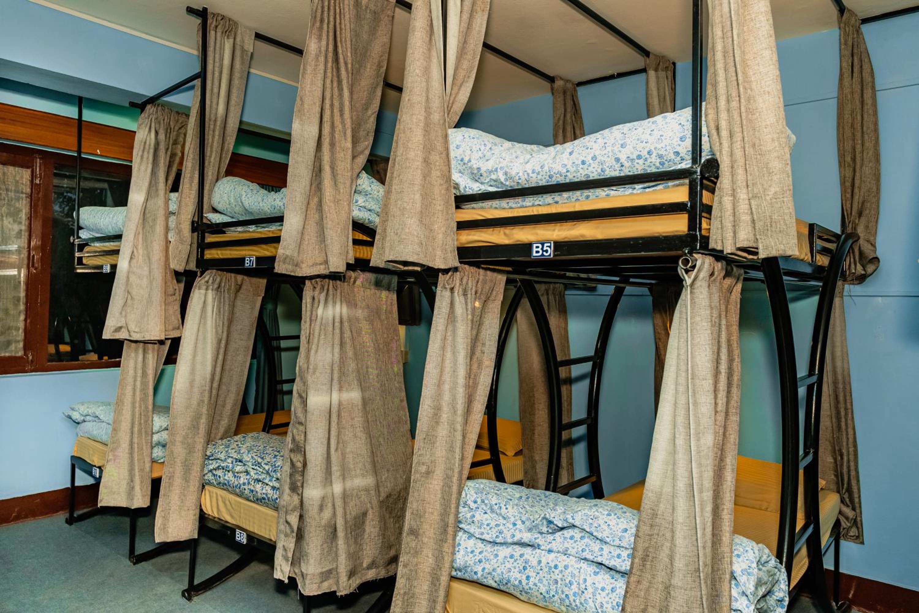 Bed in 6-Bed Mixed Dormitory Room photo 1