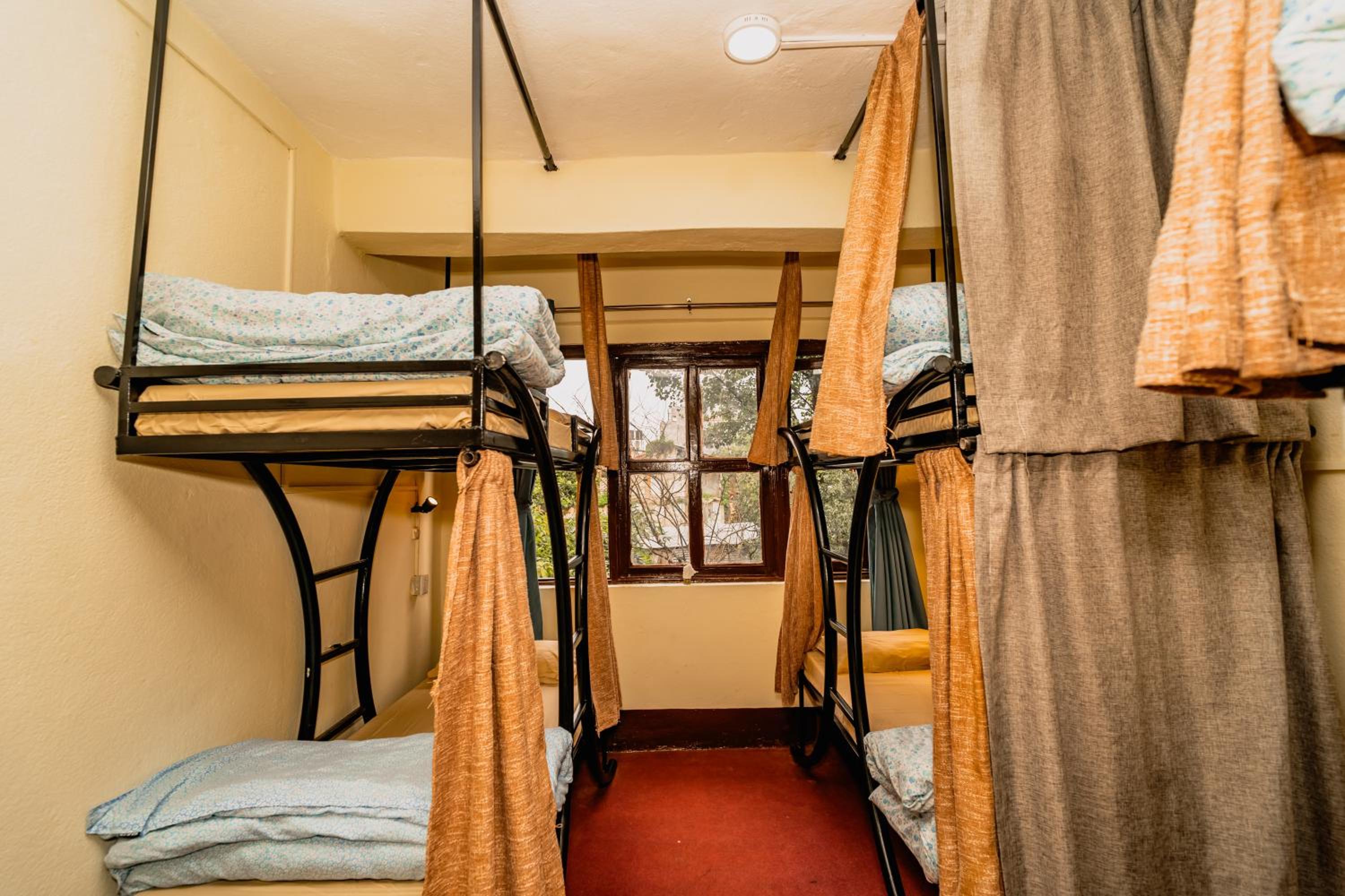 Bed in 6-Bed Female Dormitory Room photo 3