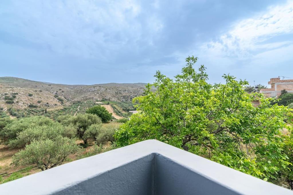 Holiday Home photo 3