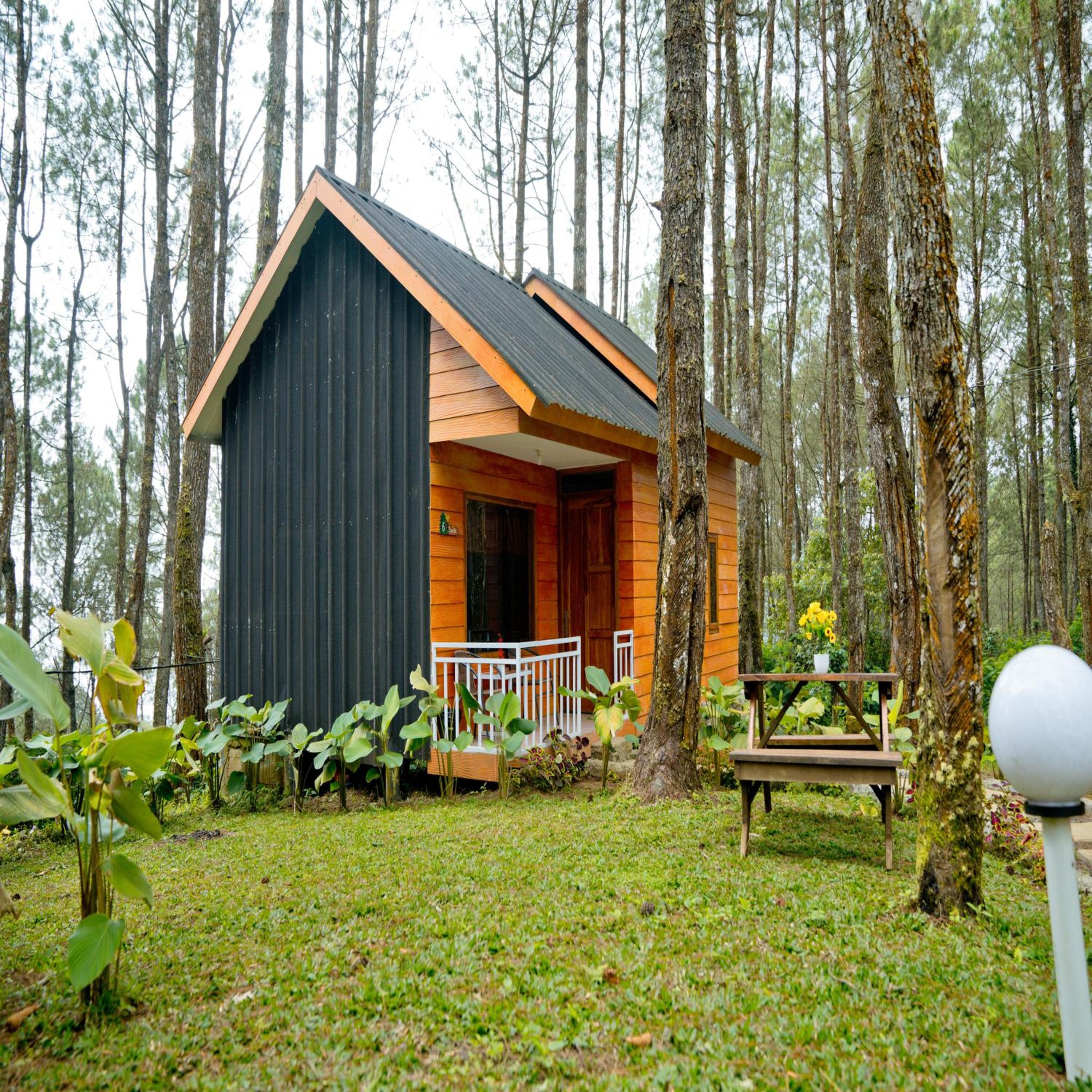 Family Double Room photo 2