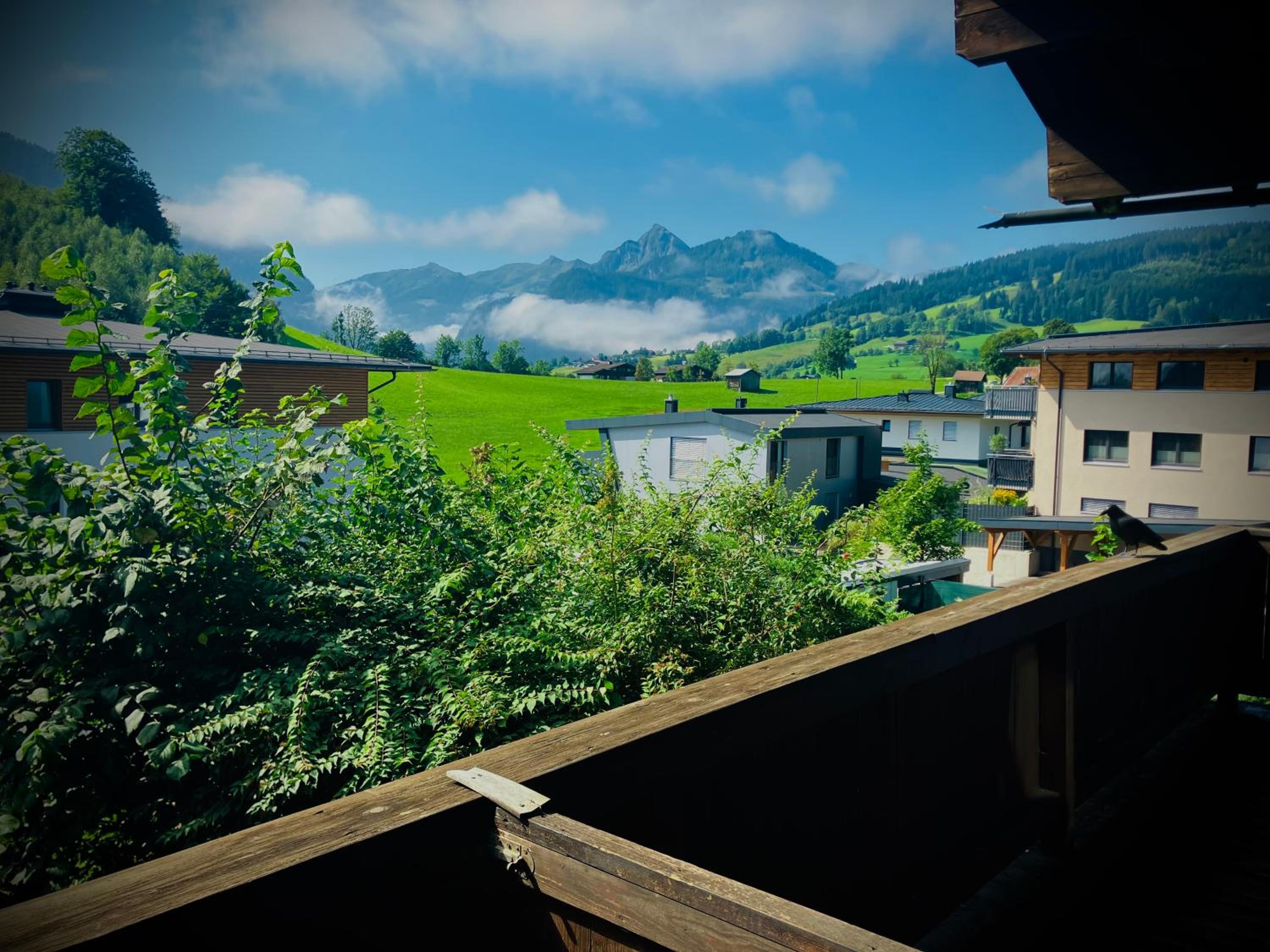 Double Room with Balcony photo 3
