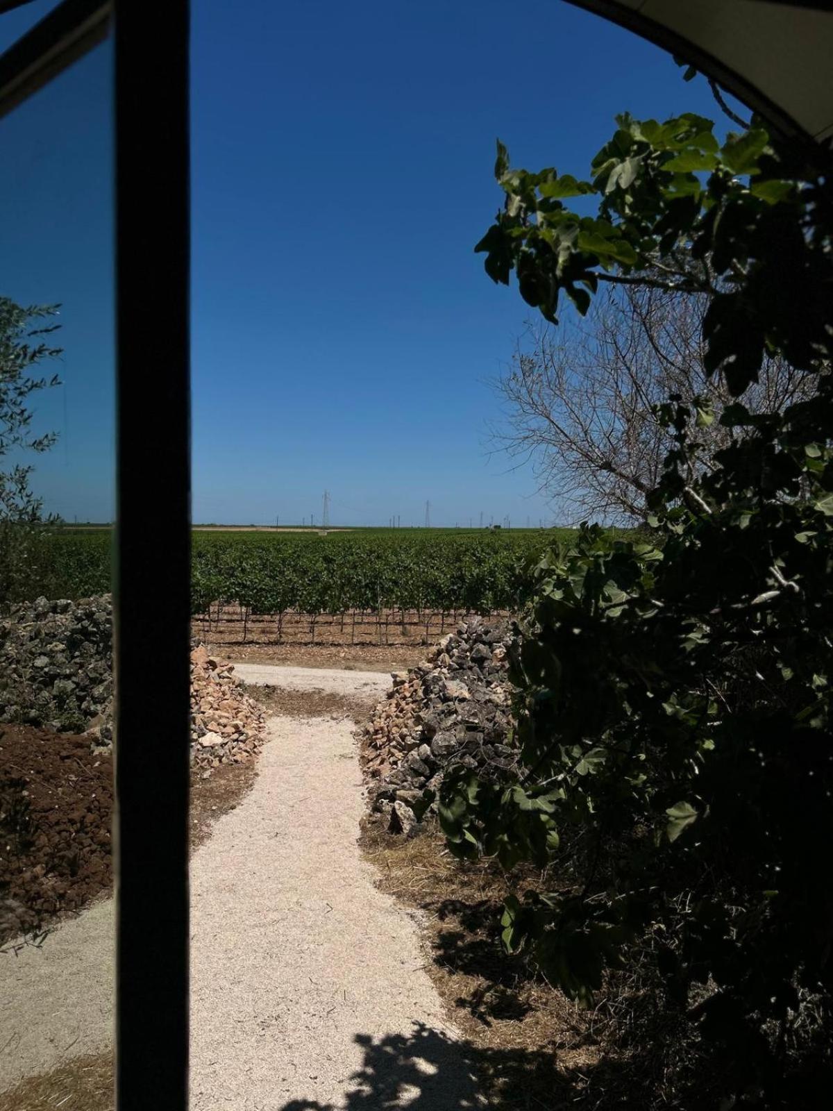 Wine Barrel Room with Vineyard View photo 2