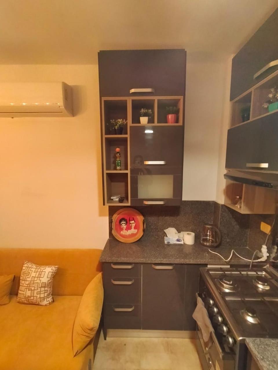 One-Bedroom Apartment photo 3