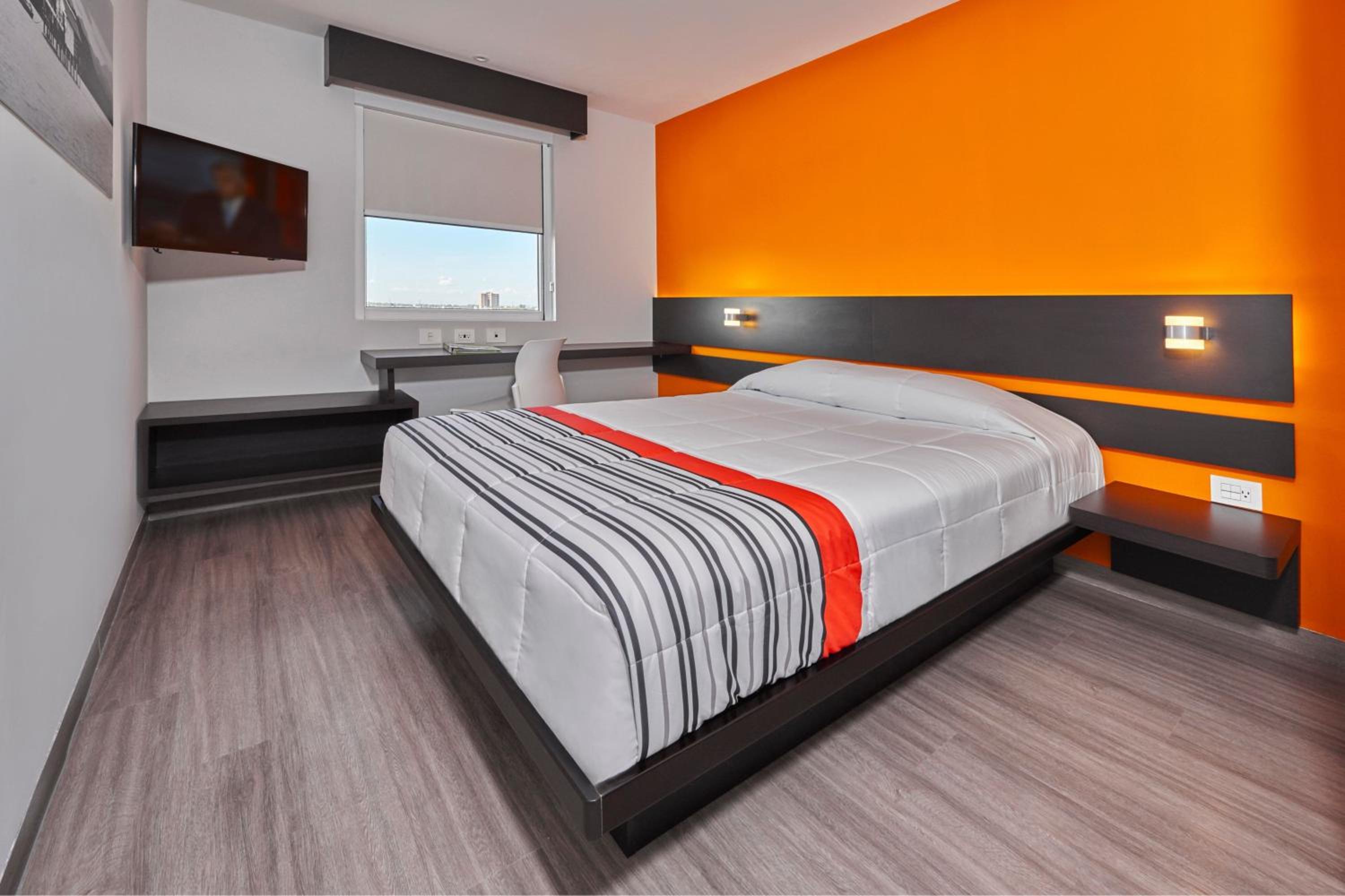 Twin Room photo 3