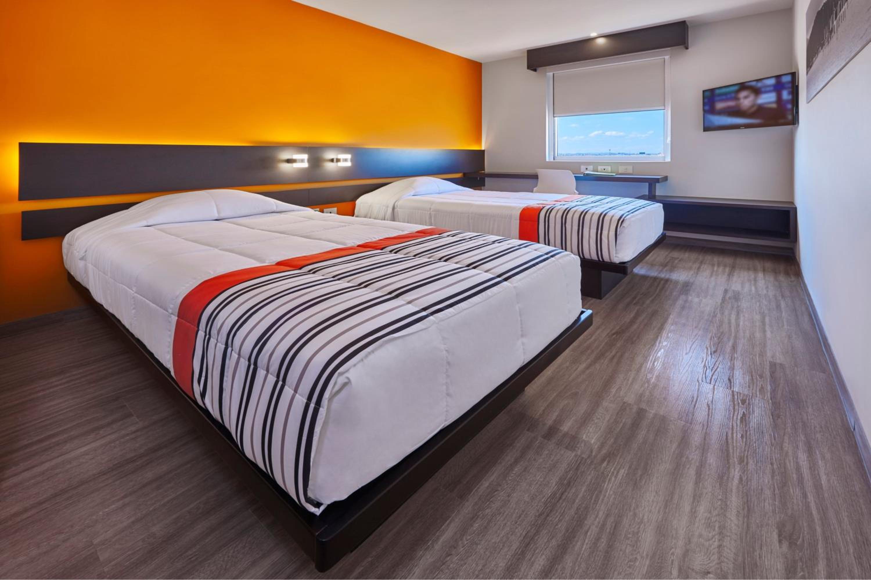 Twin Room photo 2
