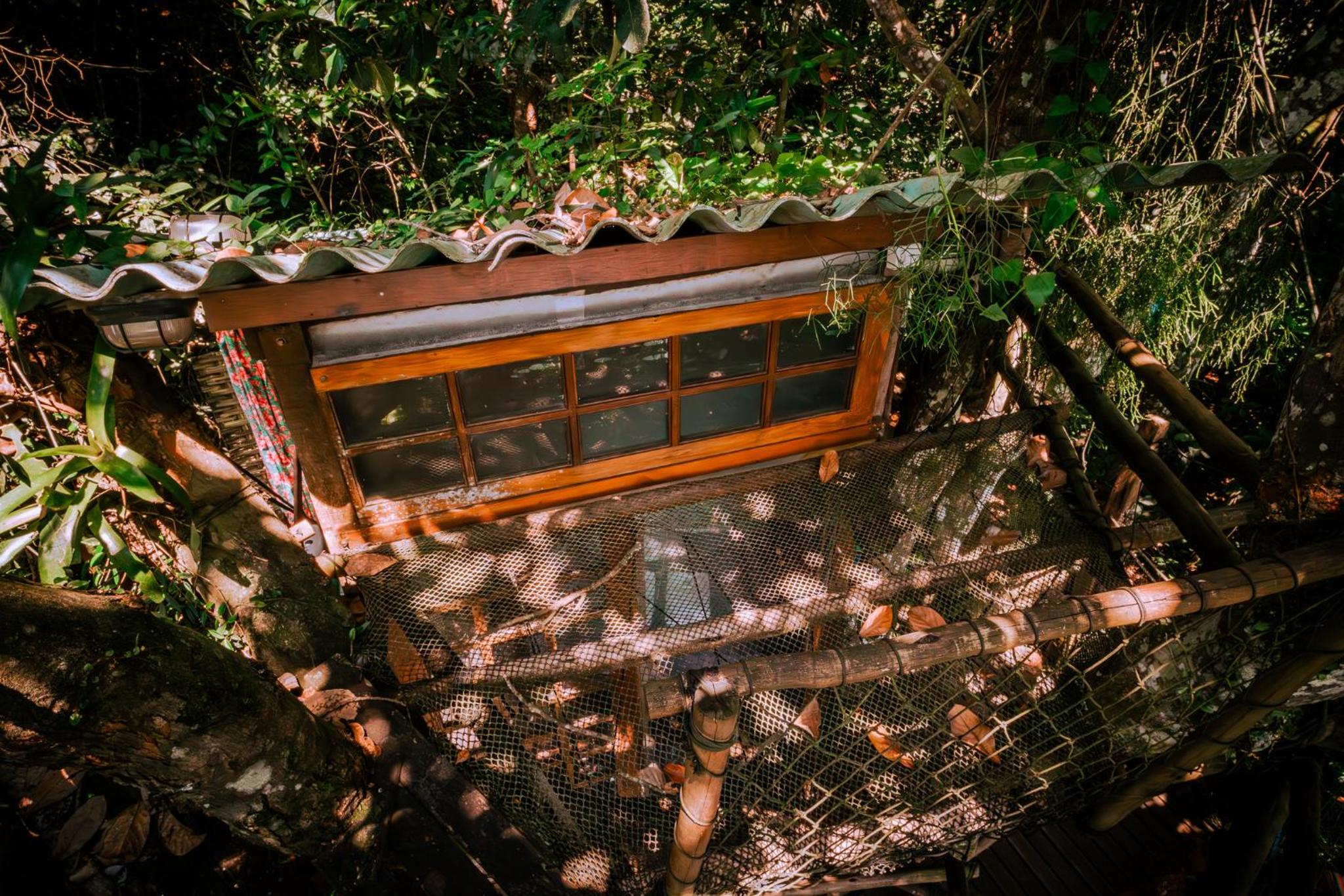 Treehouse photo 2