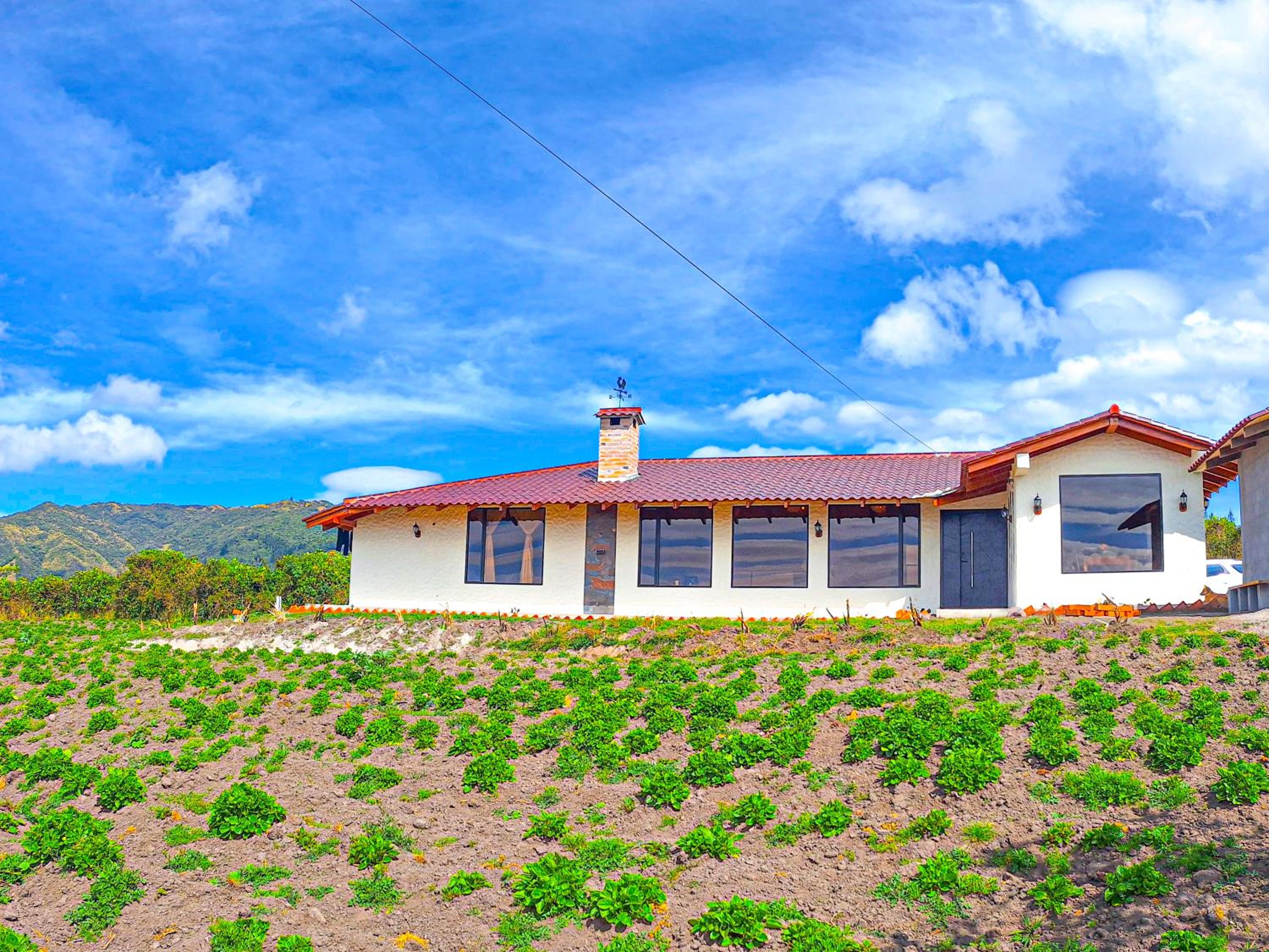 Double Room with Mountain View photo 3