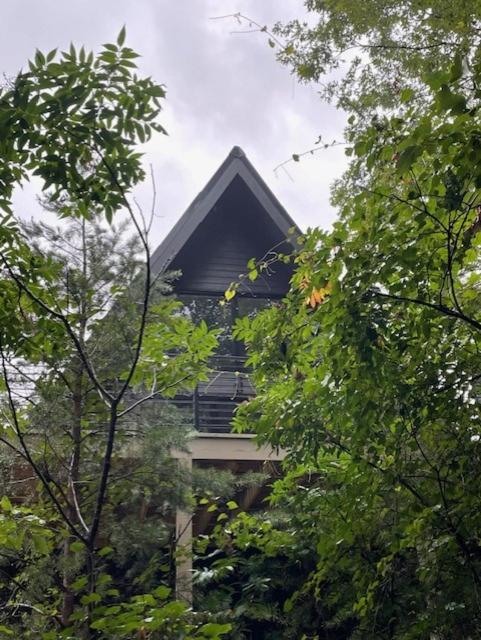 Chalet photo 3