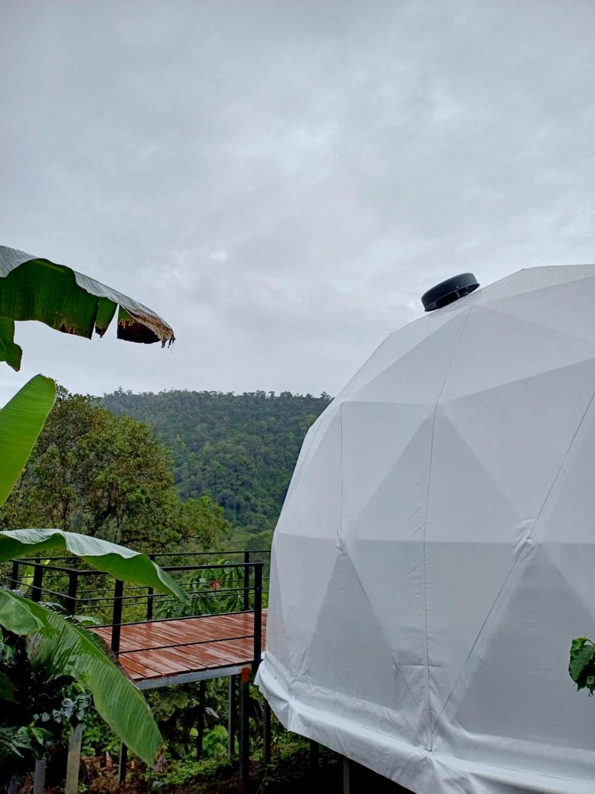 Suite with Garden View - Photo 4