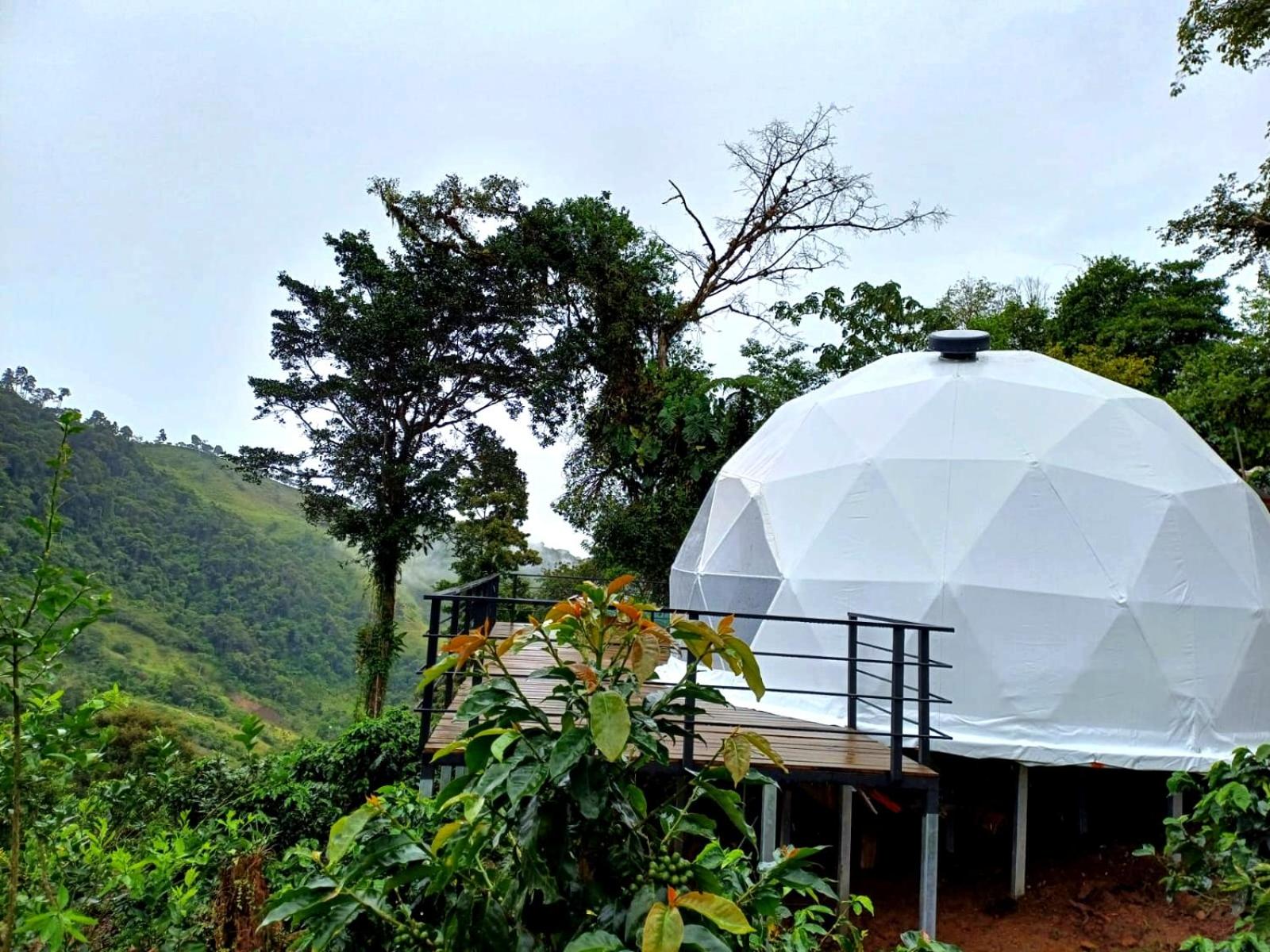 Suite with Garden View - Photo 16