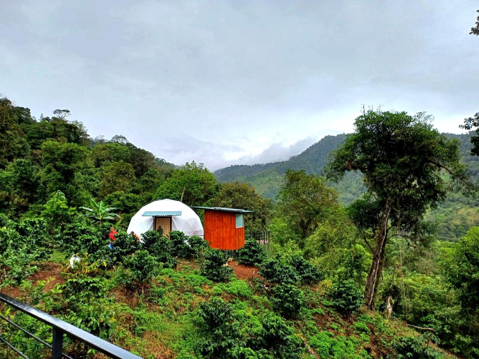 Suite with Garden View - Photo 3
