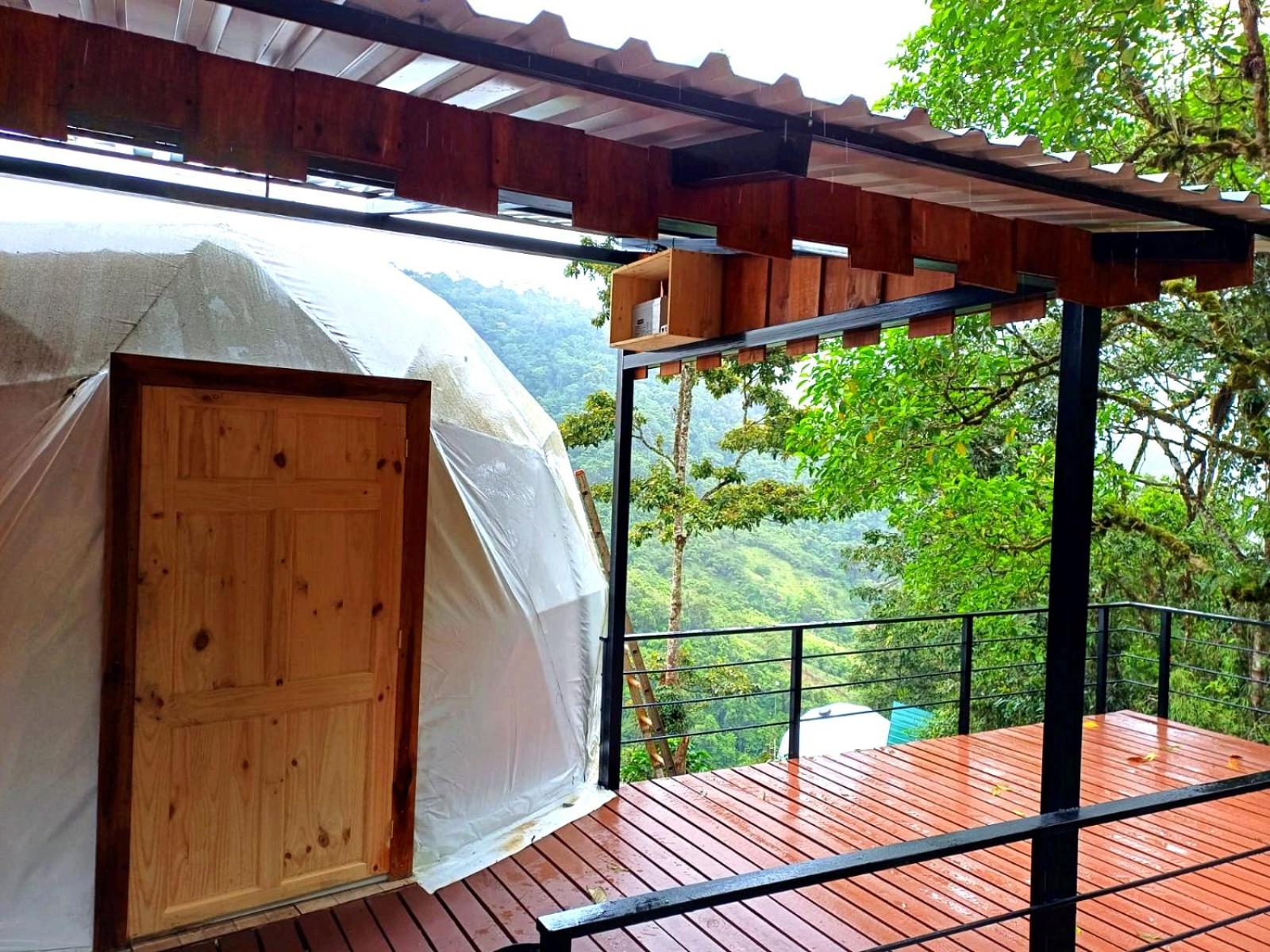 Suite with Garden View - Photo 14