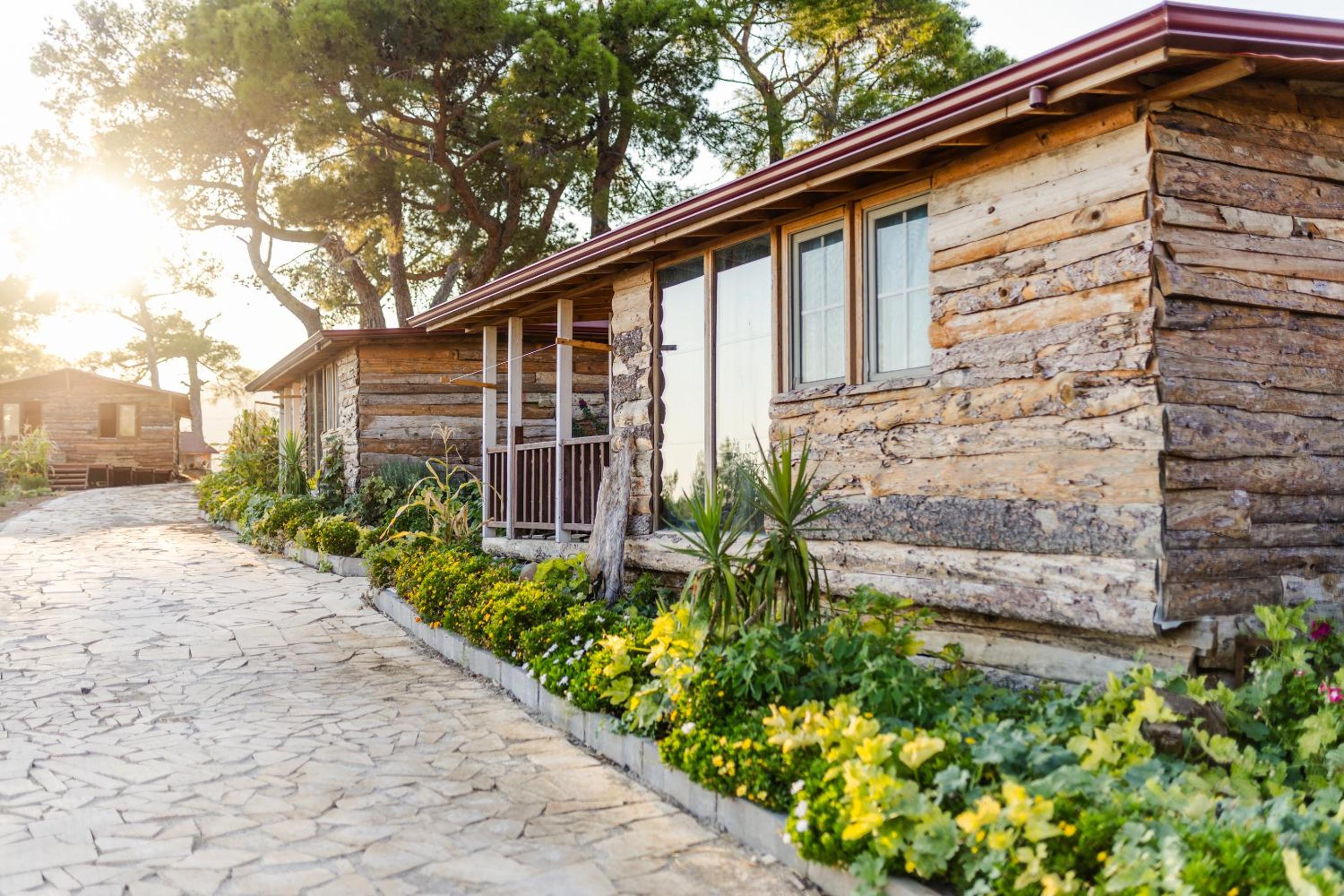 Family Bungalow photo 3