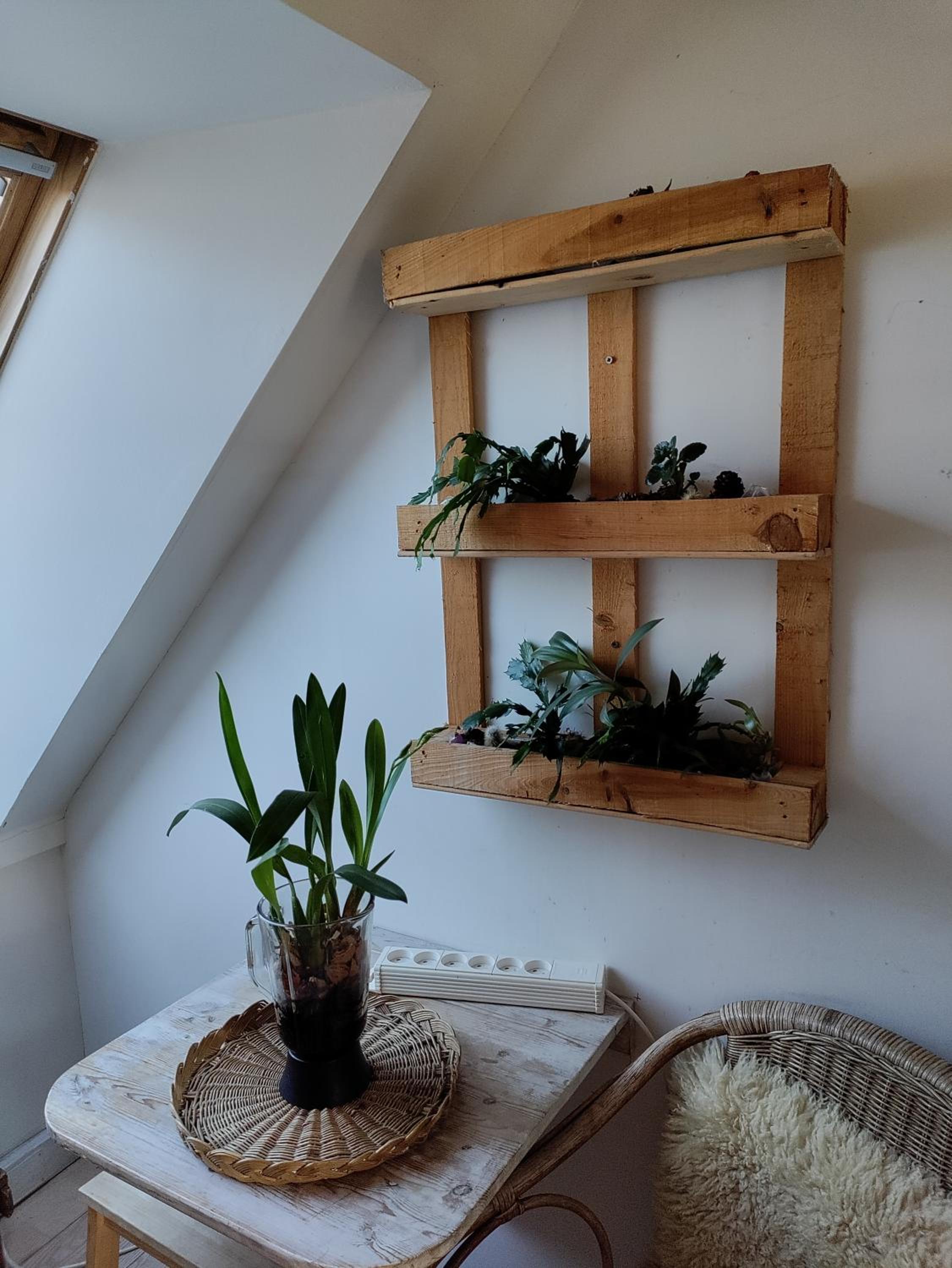 Apartment with Garden View - Photo 7