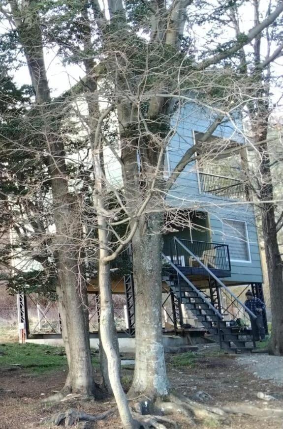 One-Bedroom House photo 3