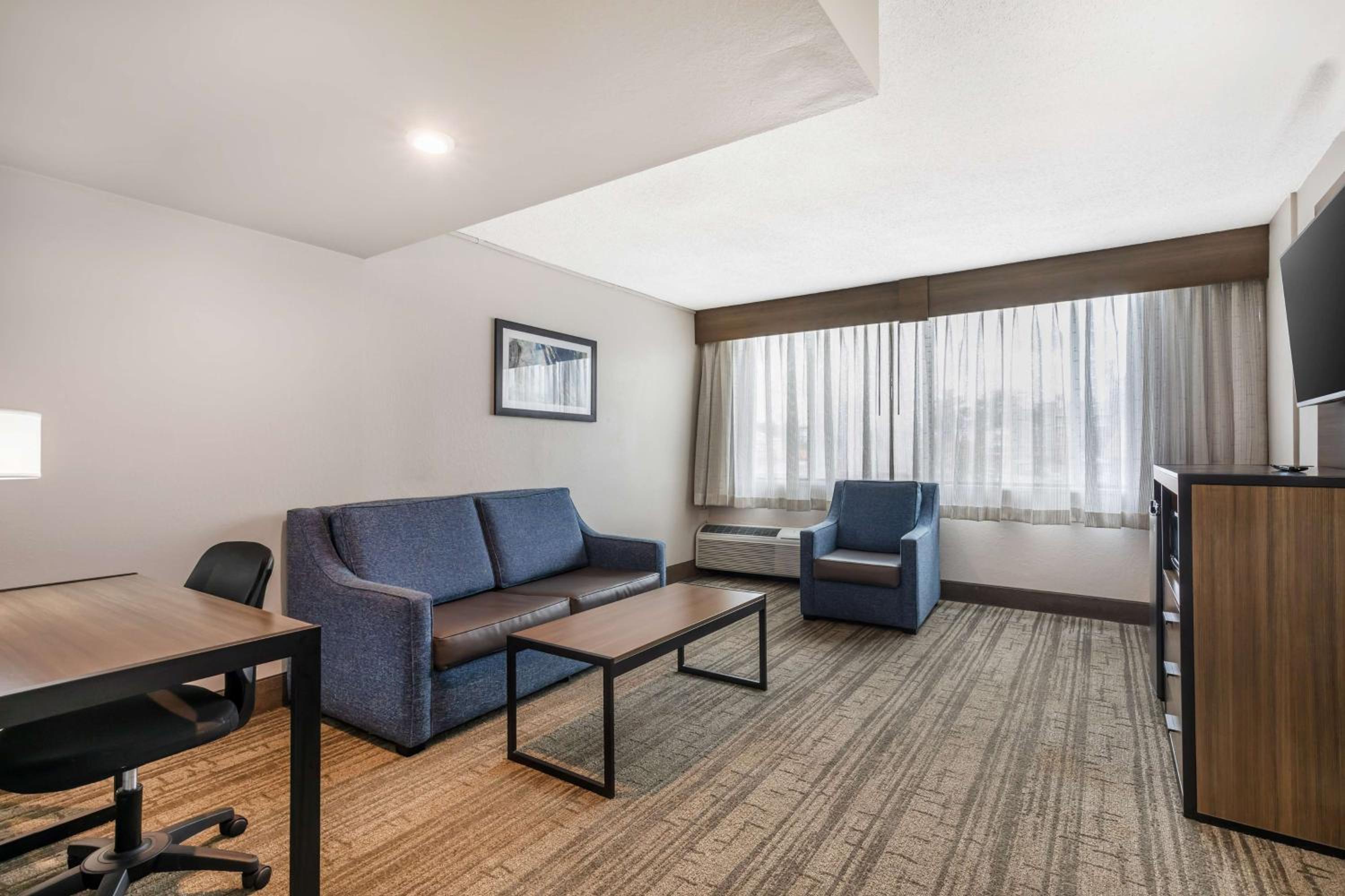 King Suite with Sofa Bed - Non-Smoking - Photo 4