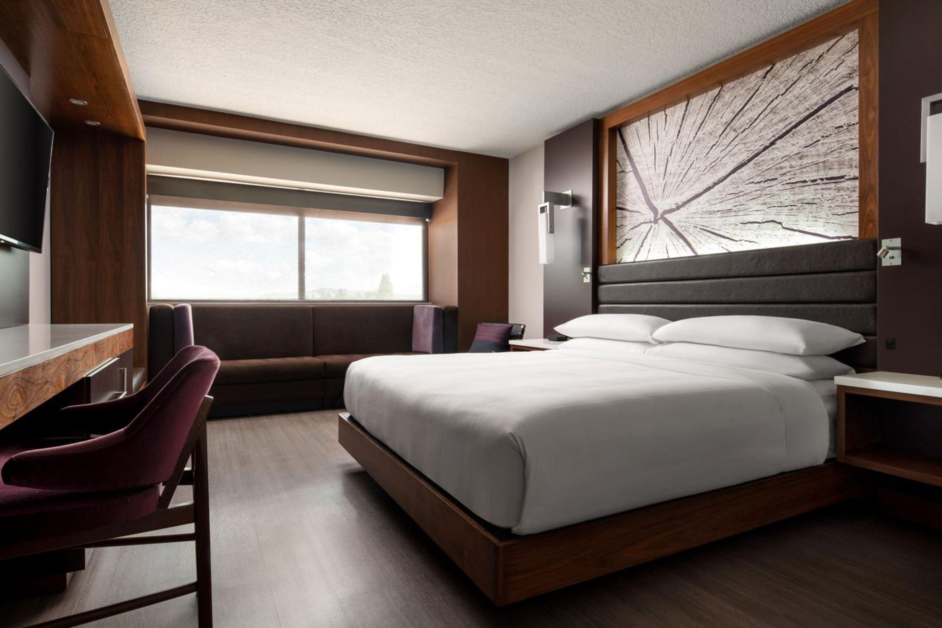 King Room with Roll-in Shower - Mobility Accessible - Photo 4
