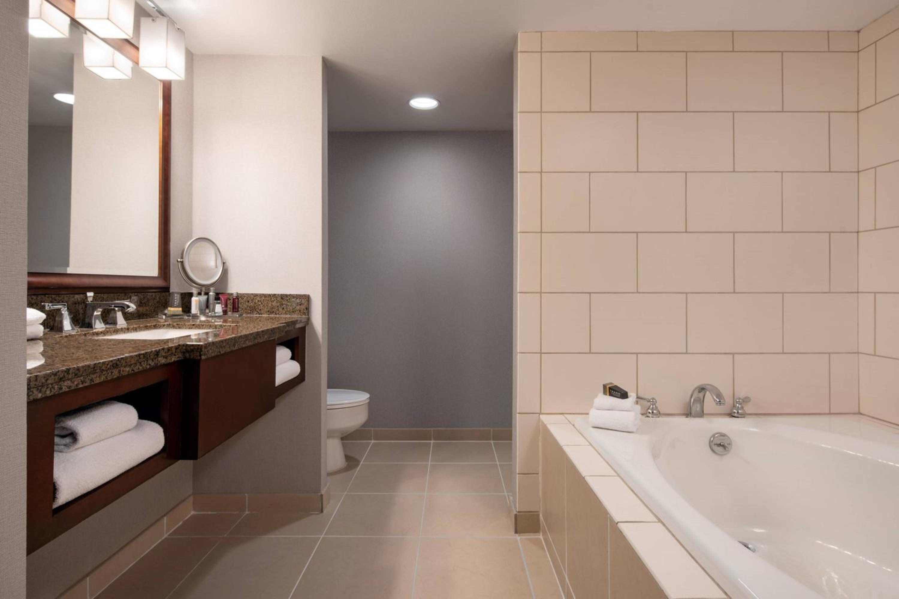 One-Bedroom King Suite - Photo 3