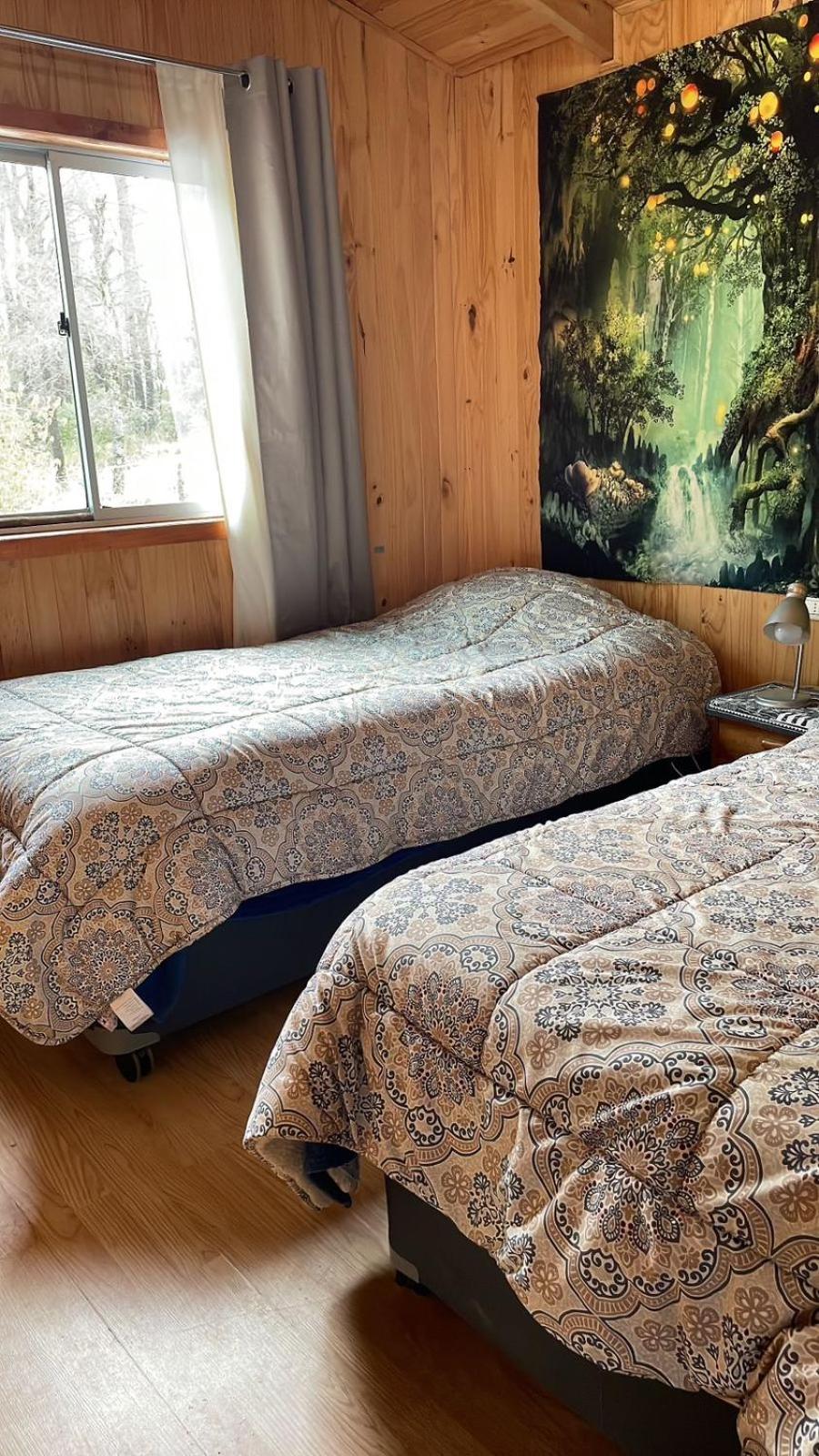 Three-Bedroom Chalet photo 1