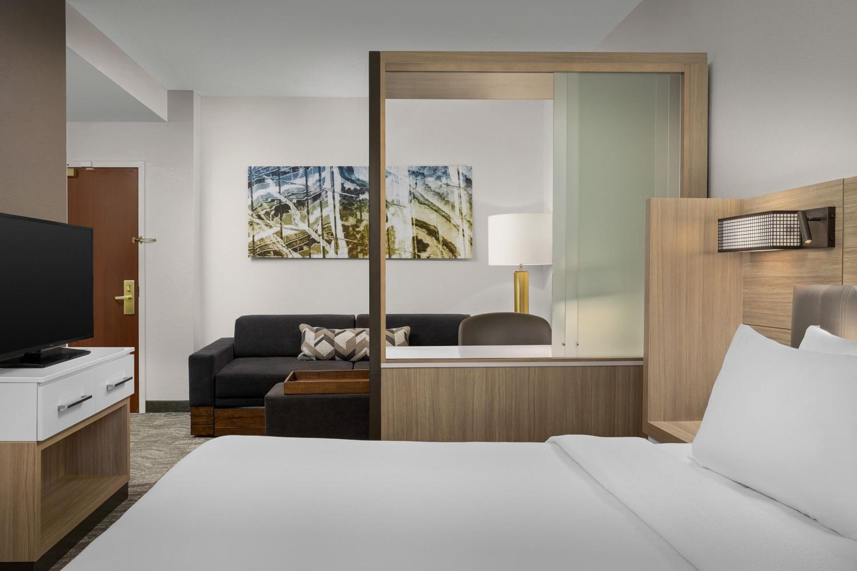 King Studio Suite with Sofa Bed and Adapted Tub - Mobility and Hearing Accessible - Photo 7