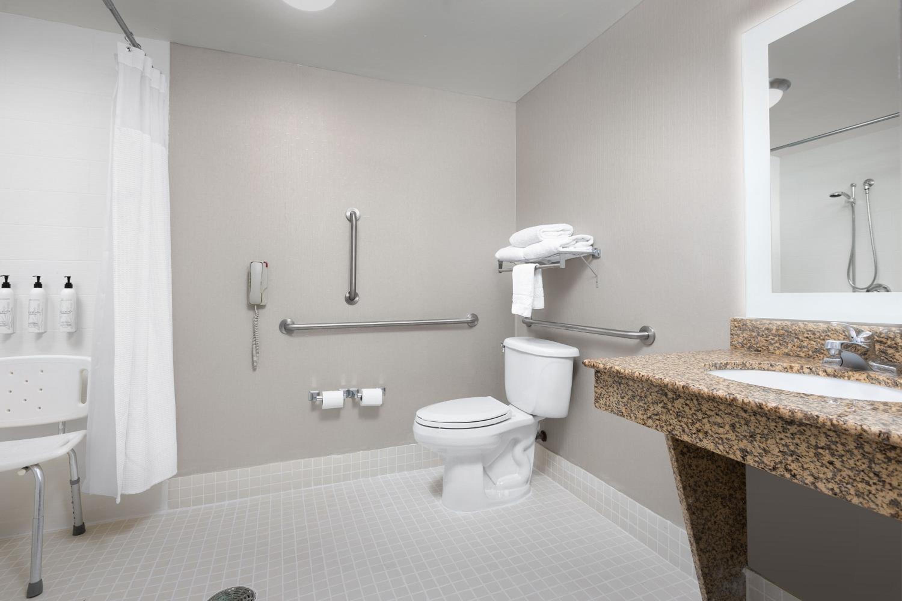 King Studio Suite with Sofa Bed and Adapted Tub - Mobility and Hearing Accessible - Photo 5