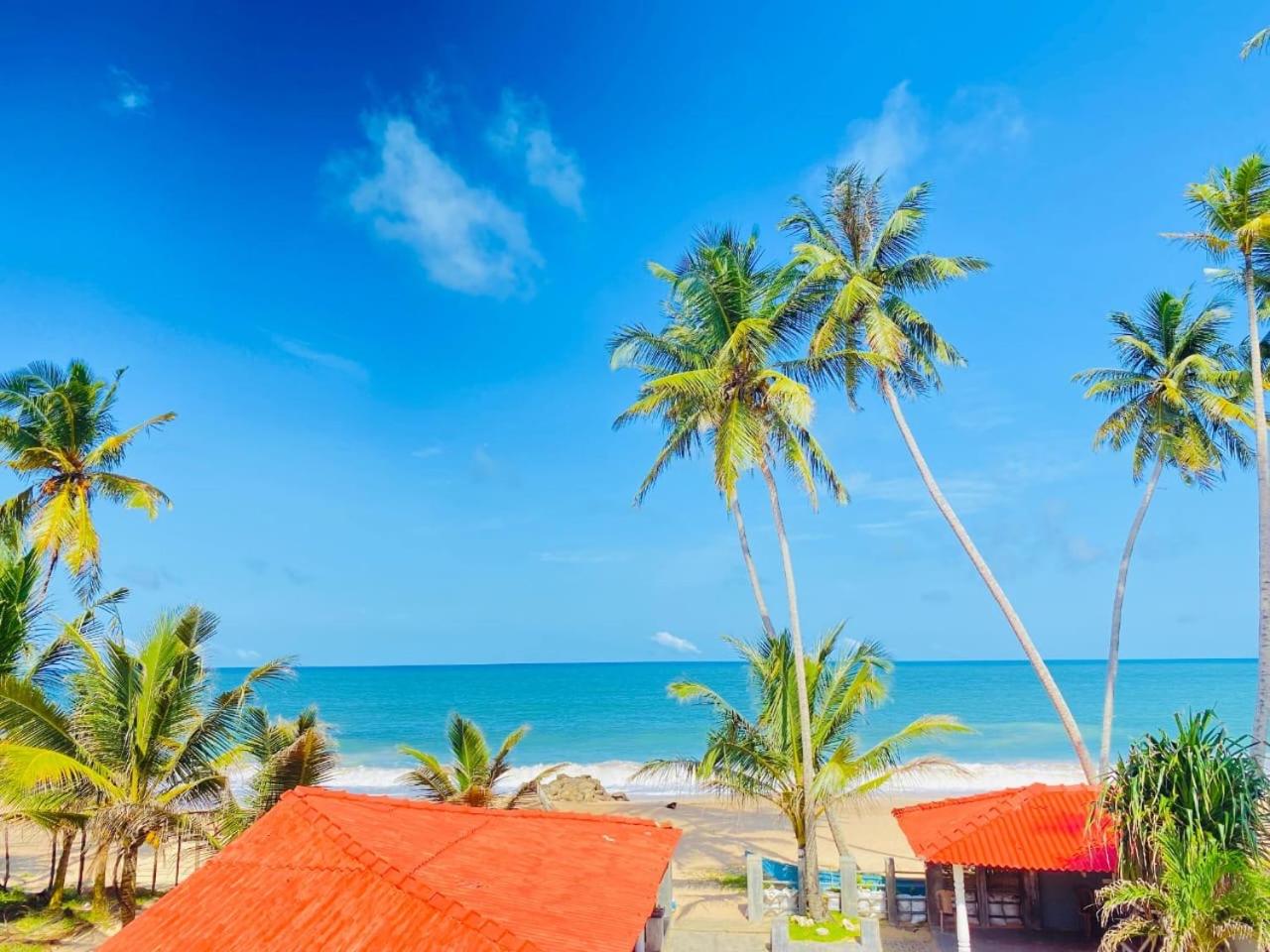 Deluxe Single Room with Sea View photo 2