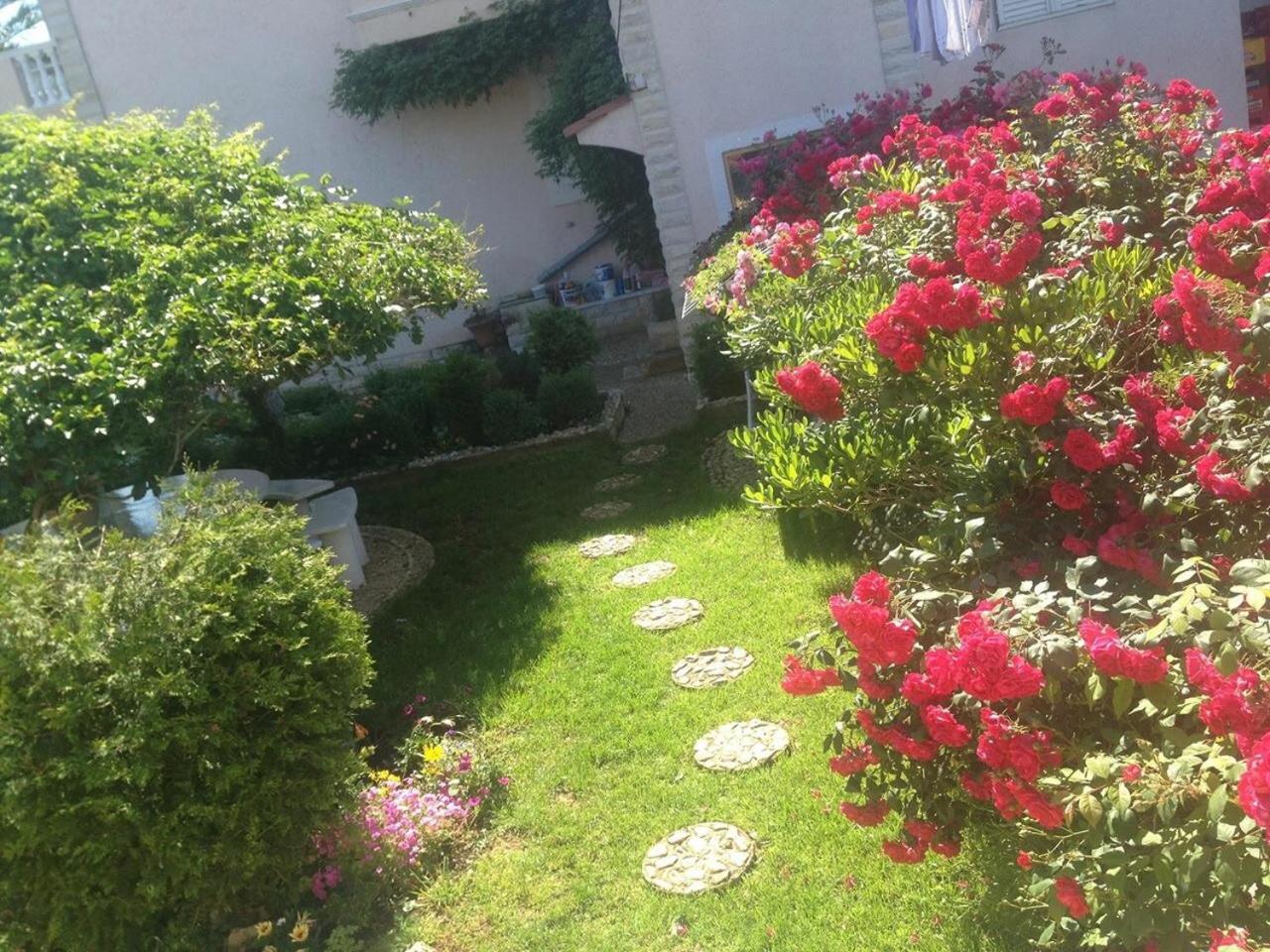 Studio Apartment with Sea View photo 3