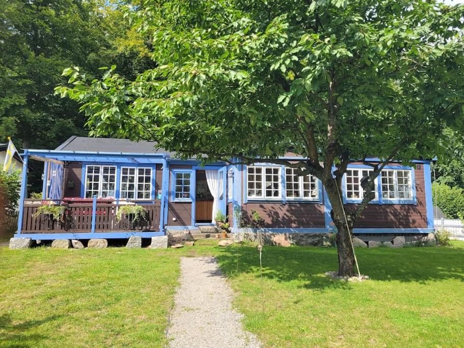 Three-Bedroom House photo 2
