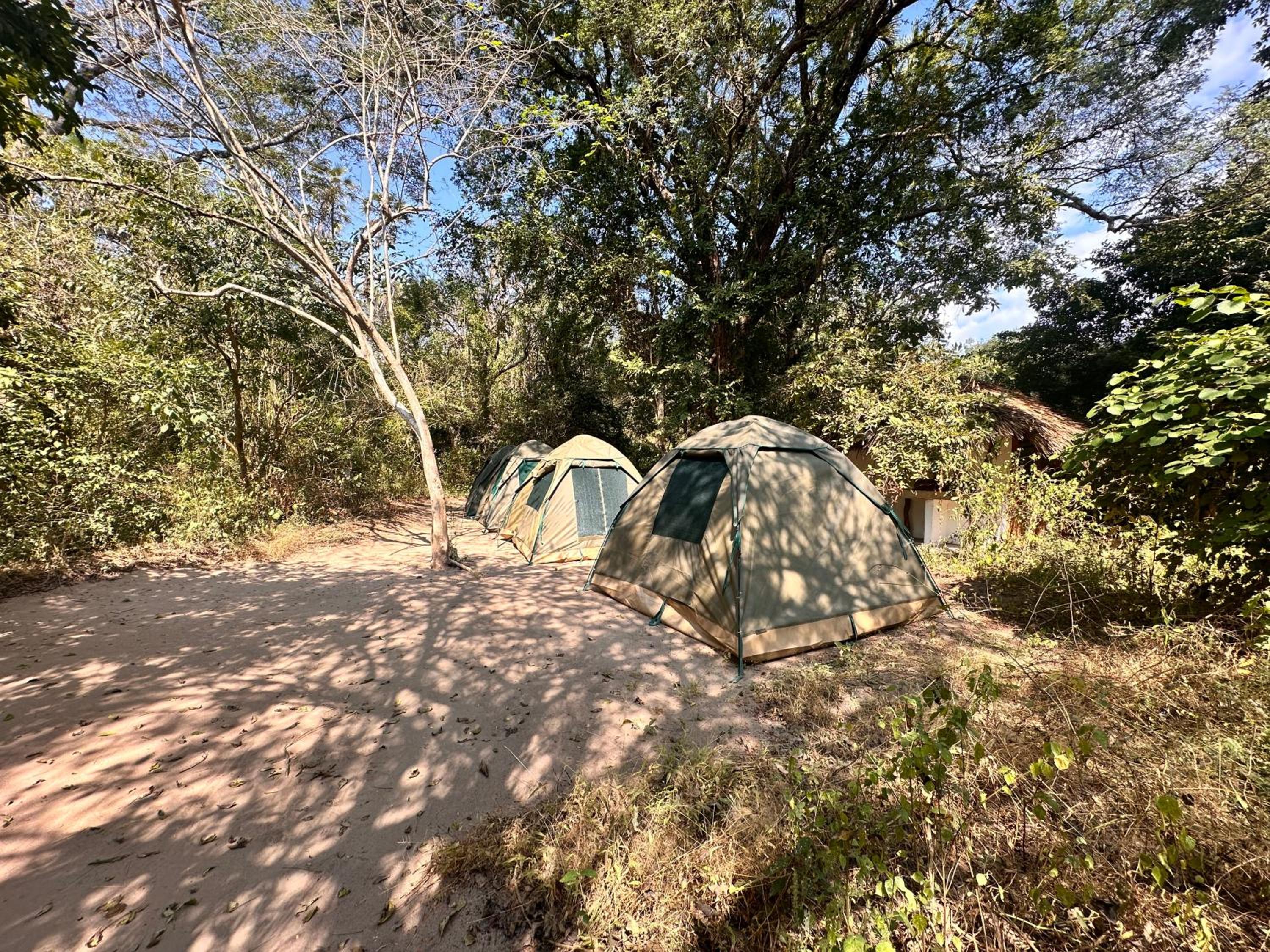 Tent photo 3