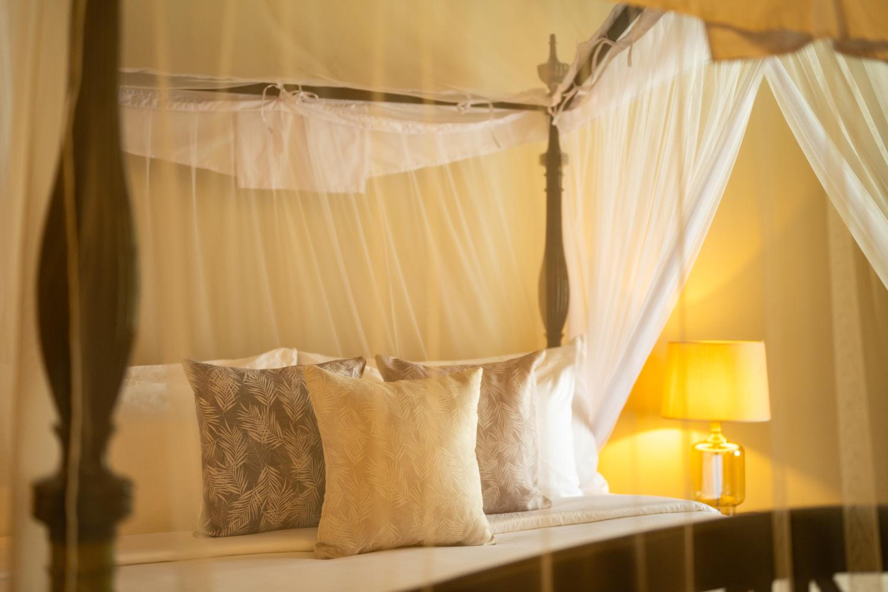 Wilpattu – All Inclusive With One Game Drive