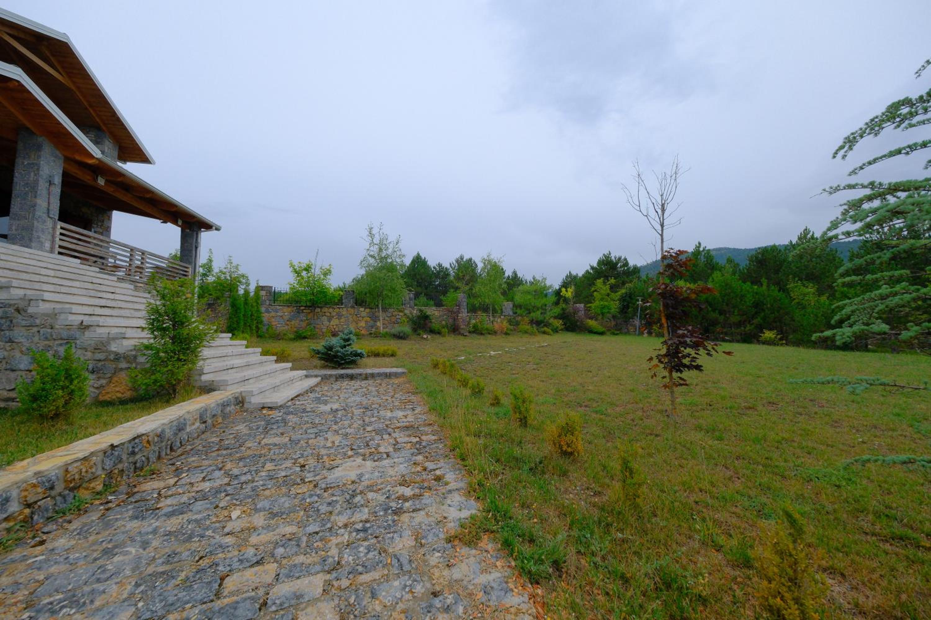 Superior Villa photo 2