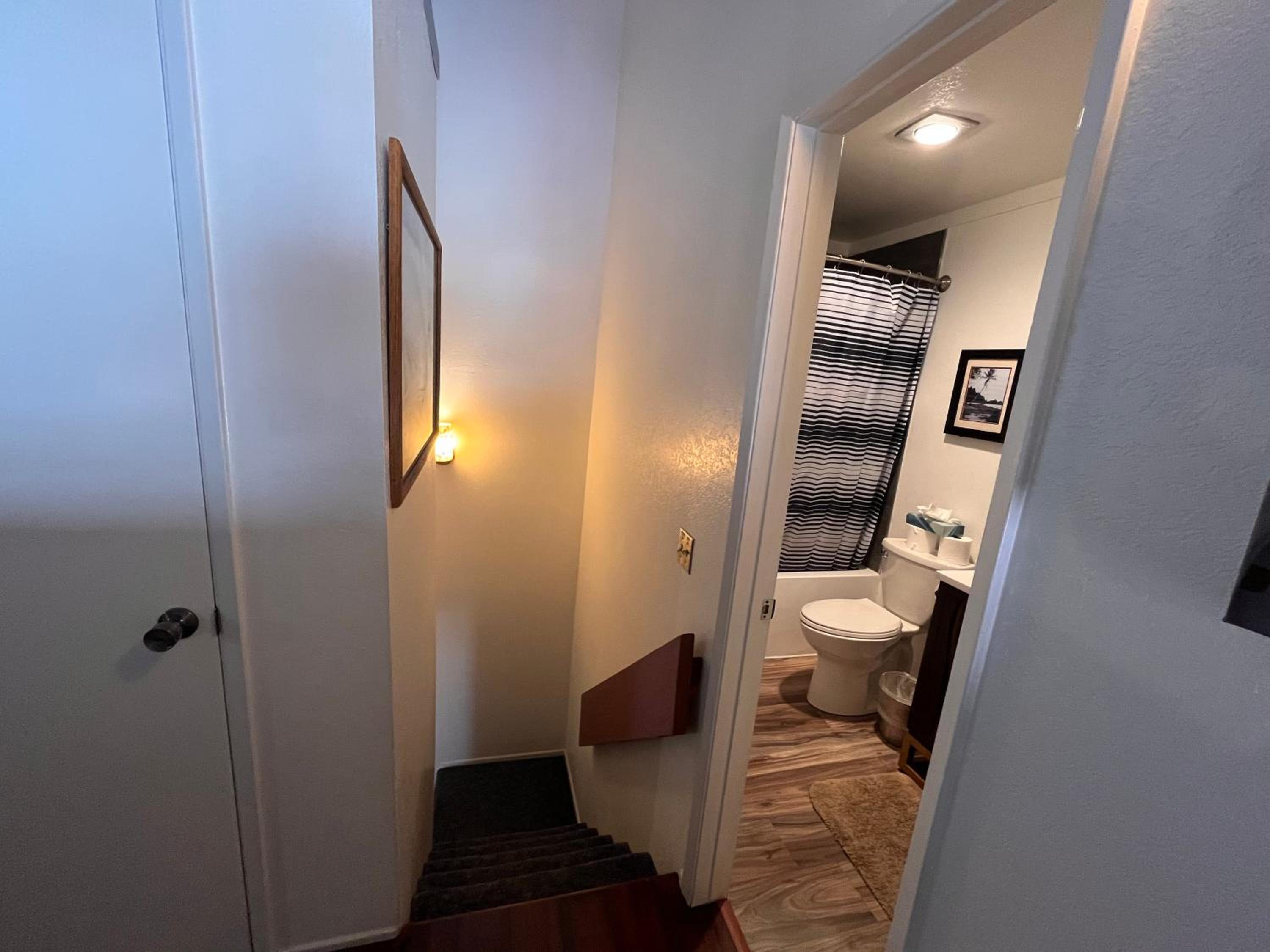 One-Bedroom Apartment photo 3