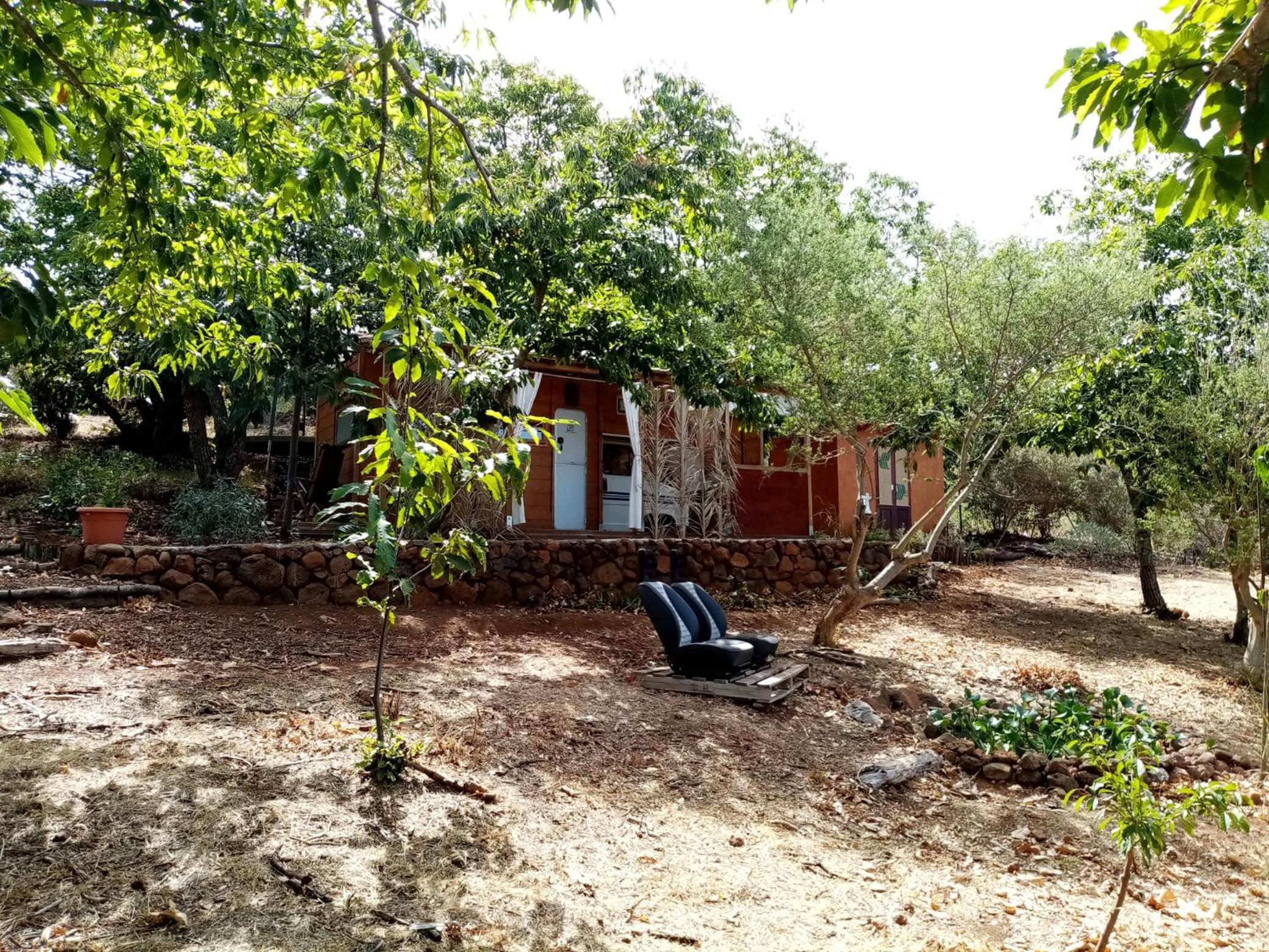 One-Bedroom House photo 2