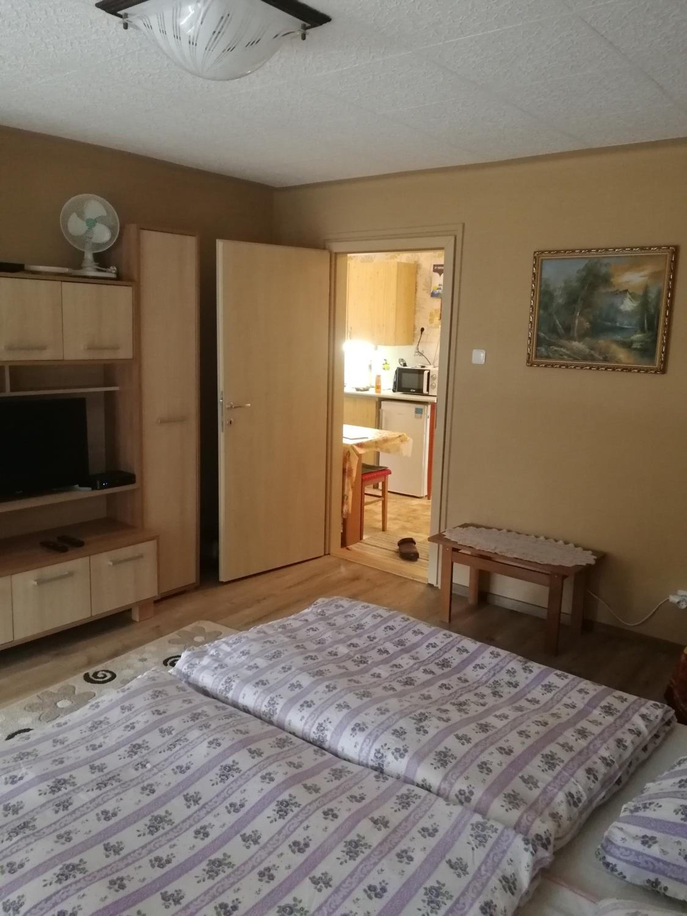 One-Bedroom Apartment photo 2
