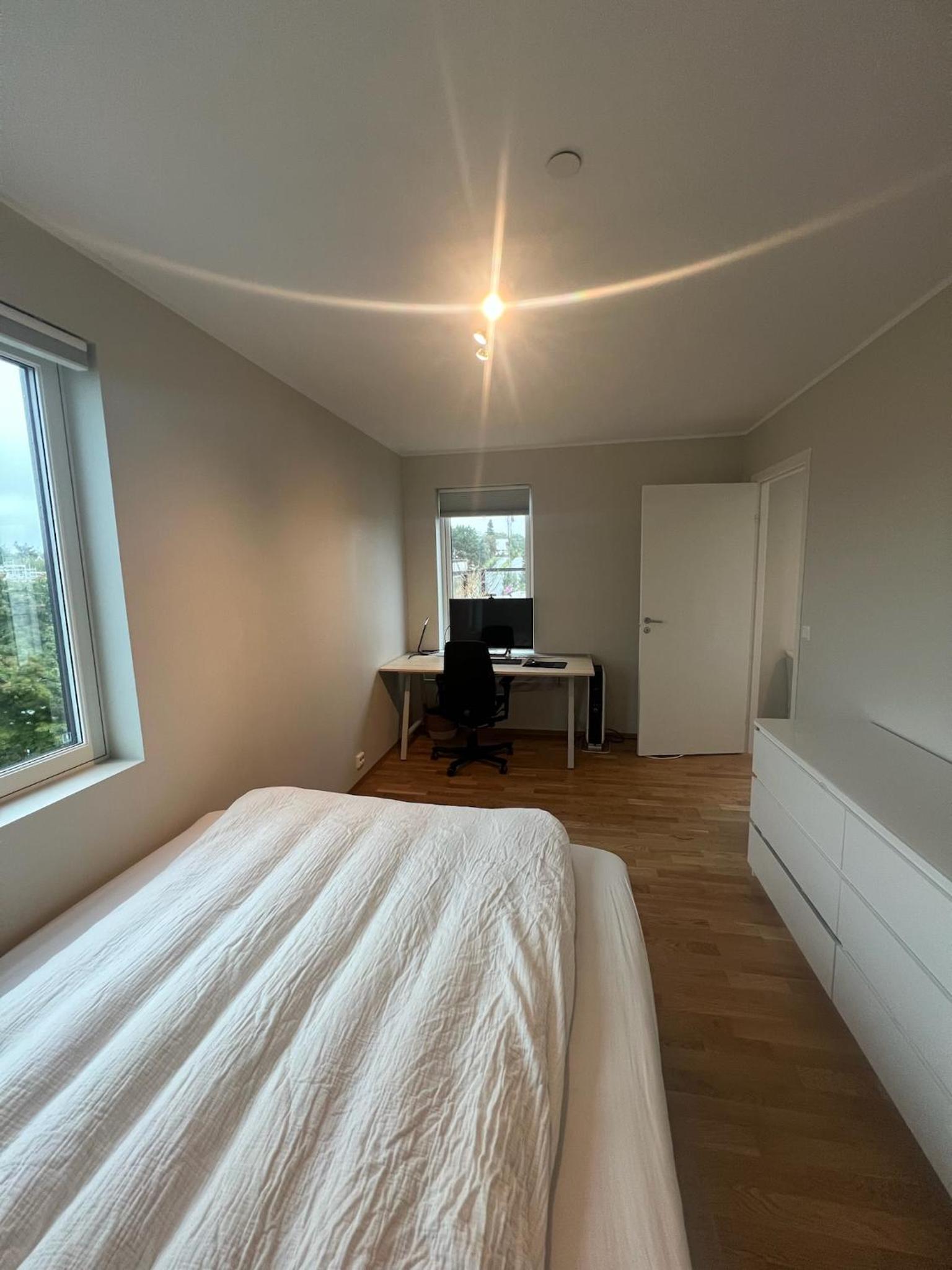 One-Bedroom Apartment photo 2