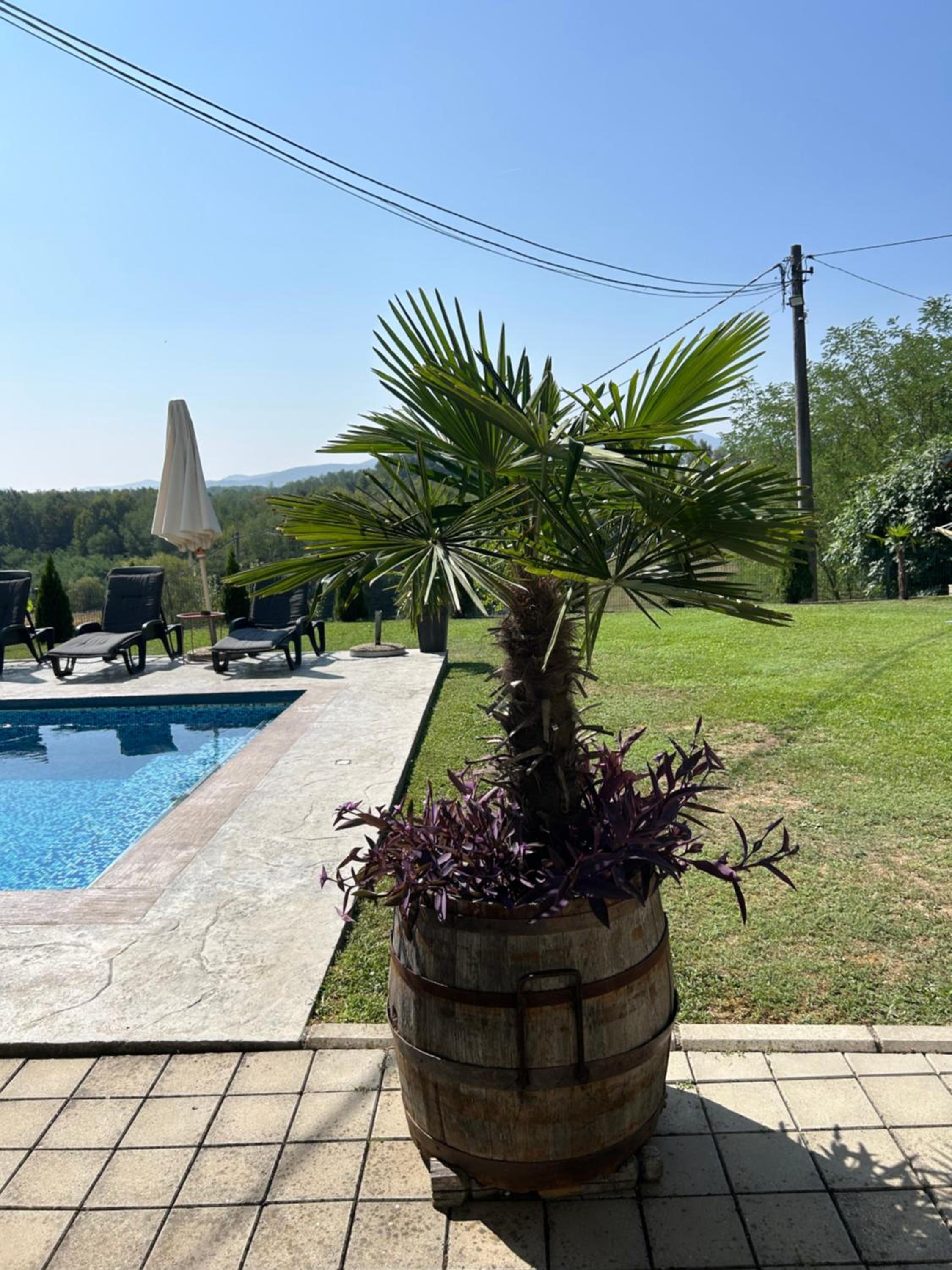 Villa with Private Pool photo 3