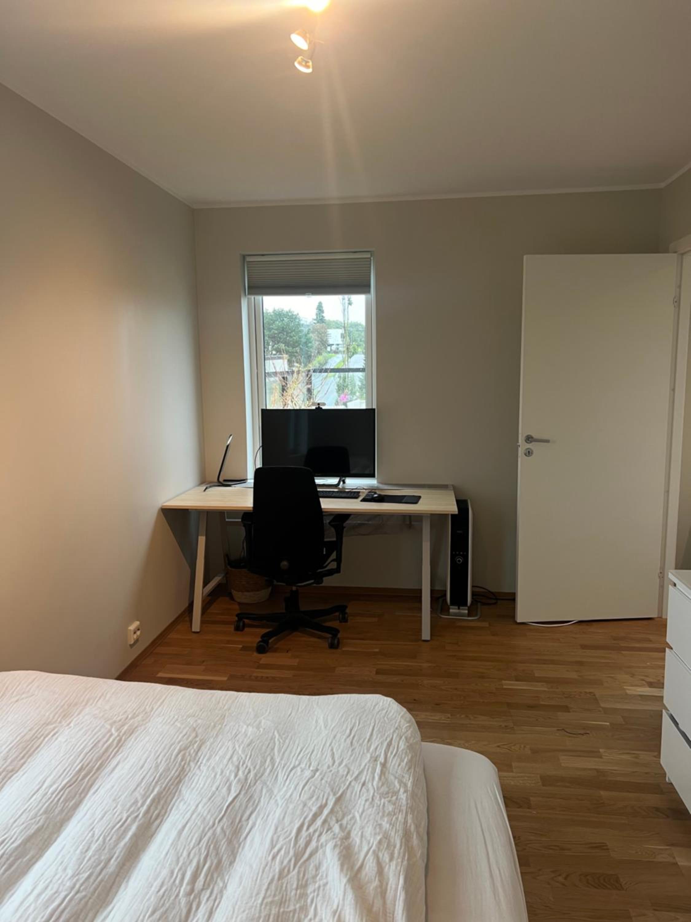 One-Bedroom Apartment photo 3