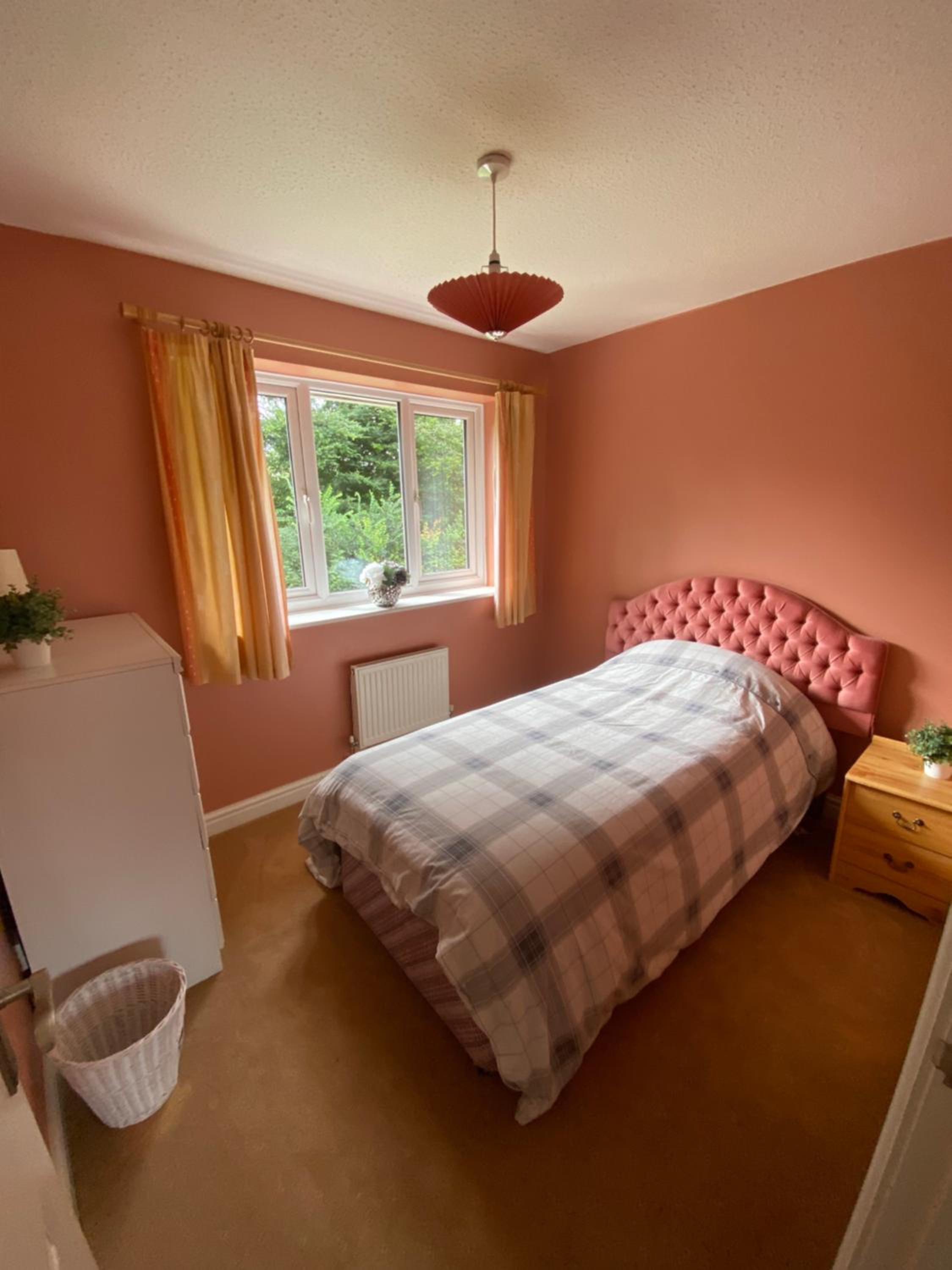 Single Room photo 3