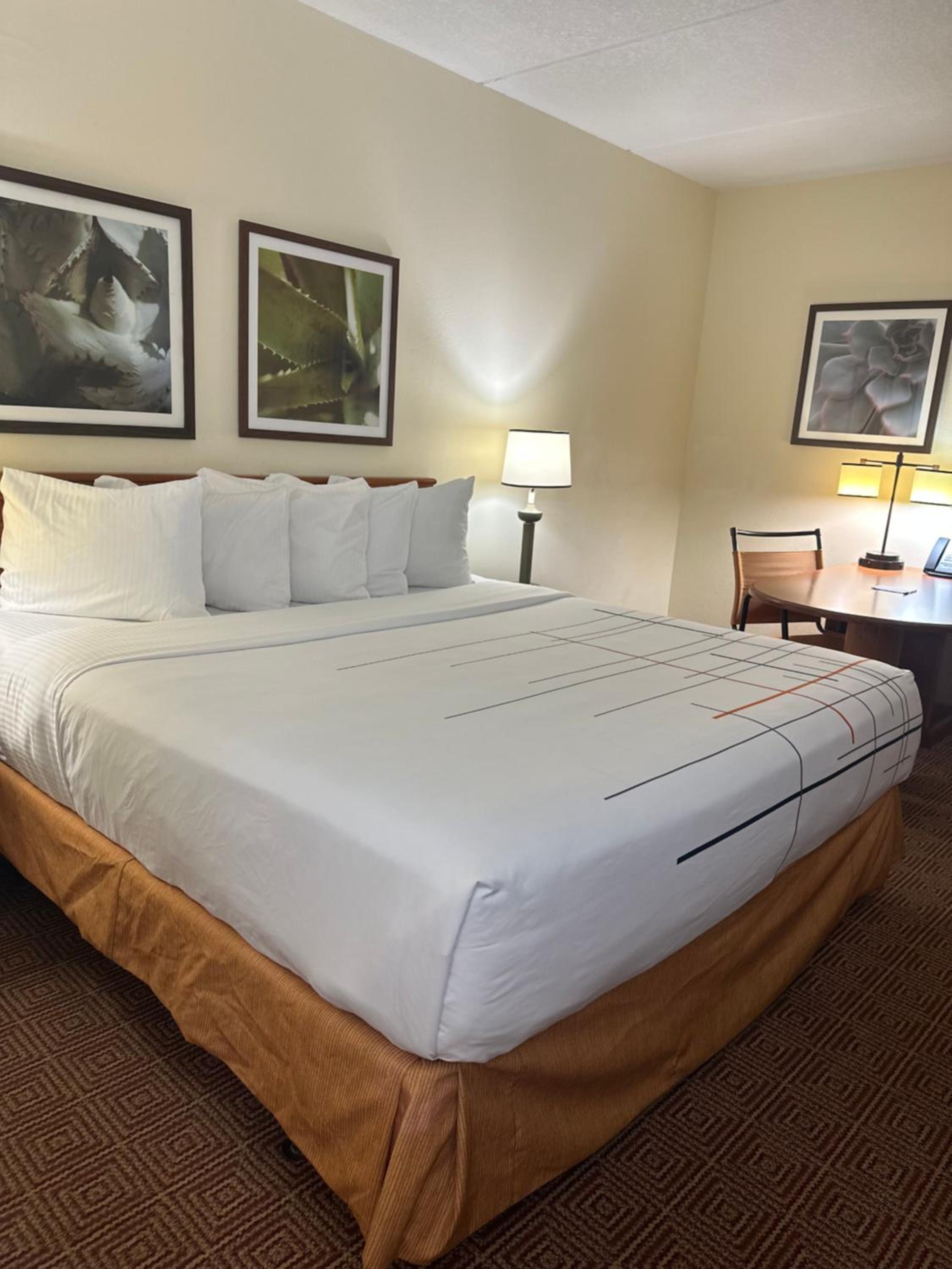 Deluxe King Room - Photo 2