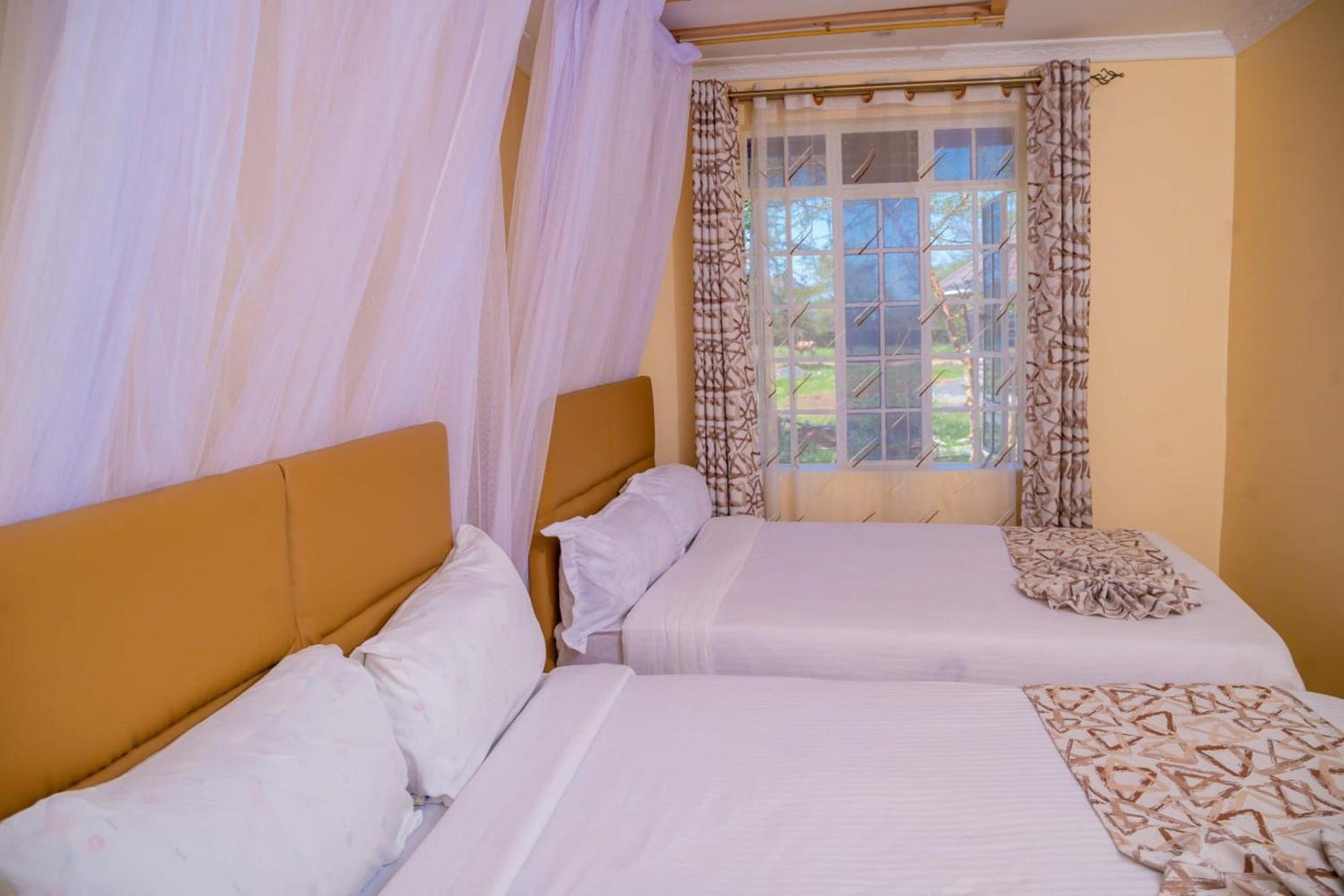 Deluxe Twin Room photo 2