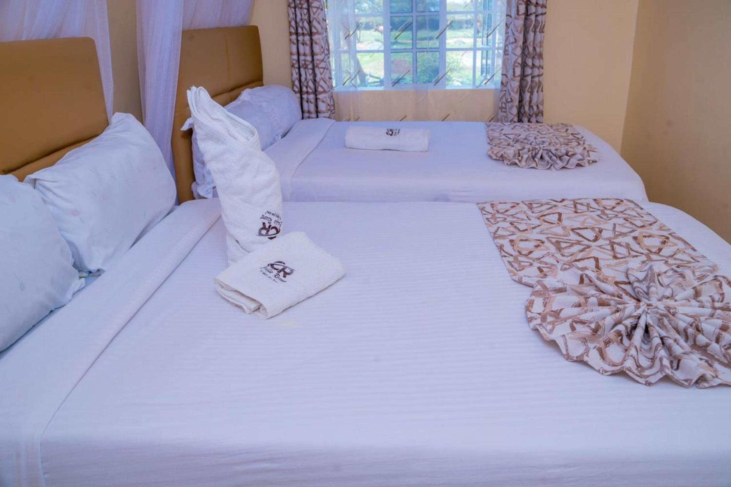 Deluxe Twin Room photo 1