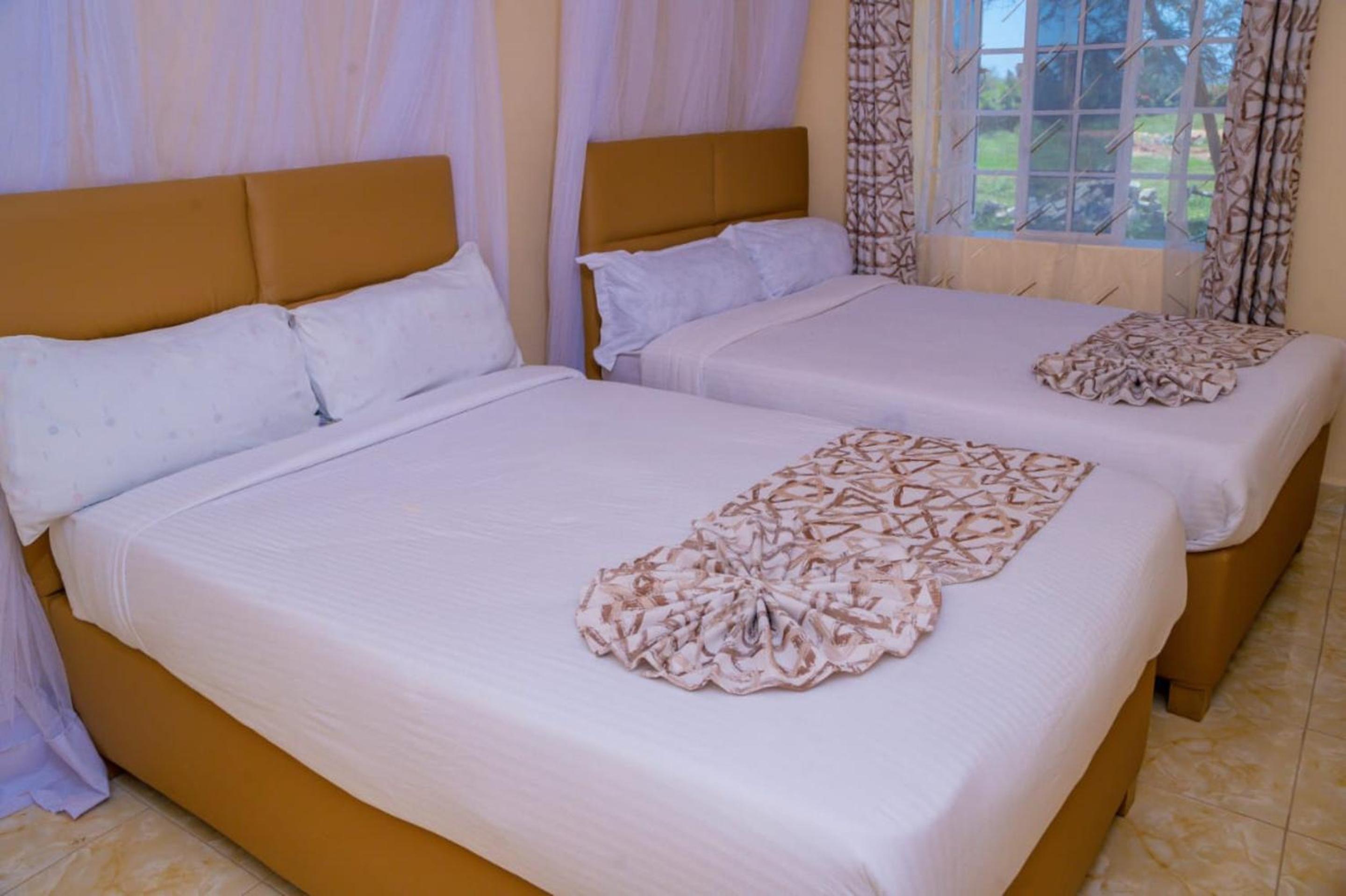 Deluxe Twin Room photo 3