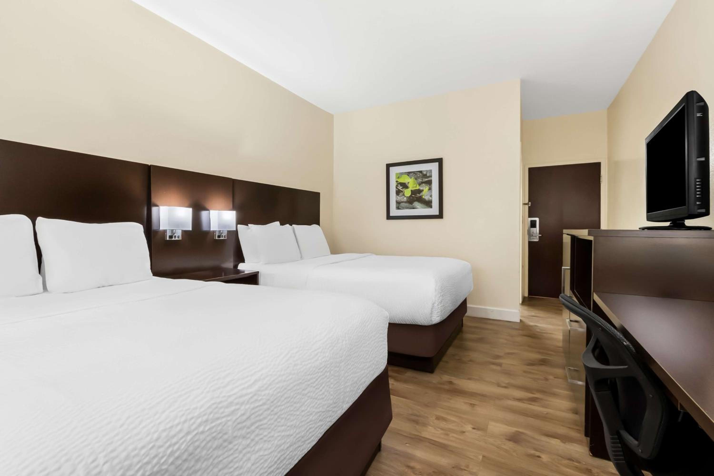 Suite with Two Double Beds - Disability Access - Photo 4