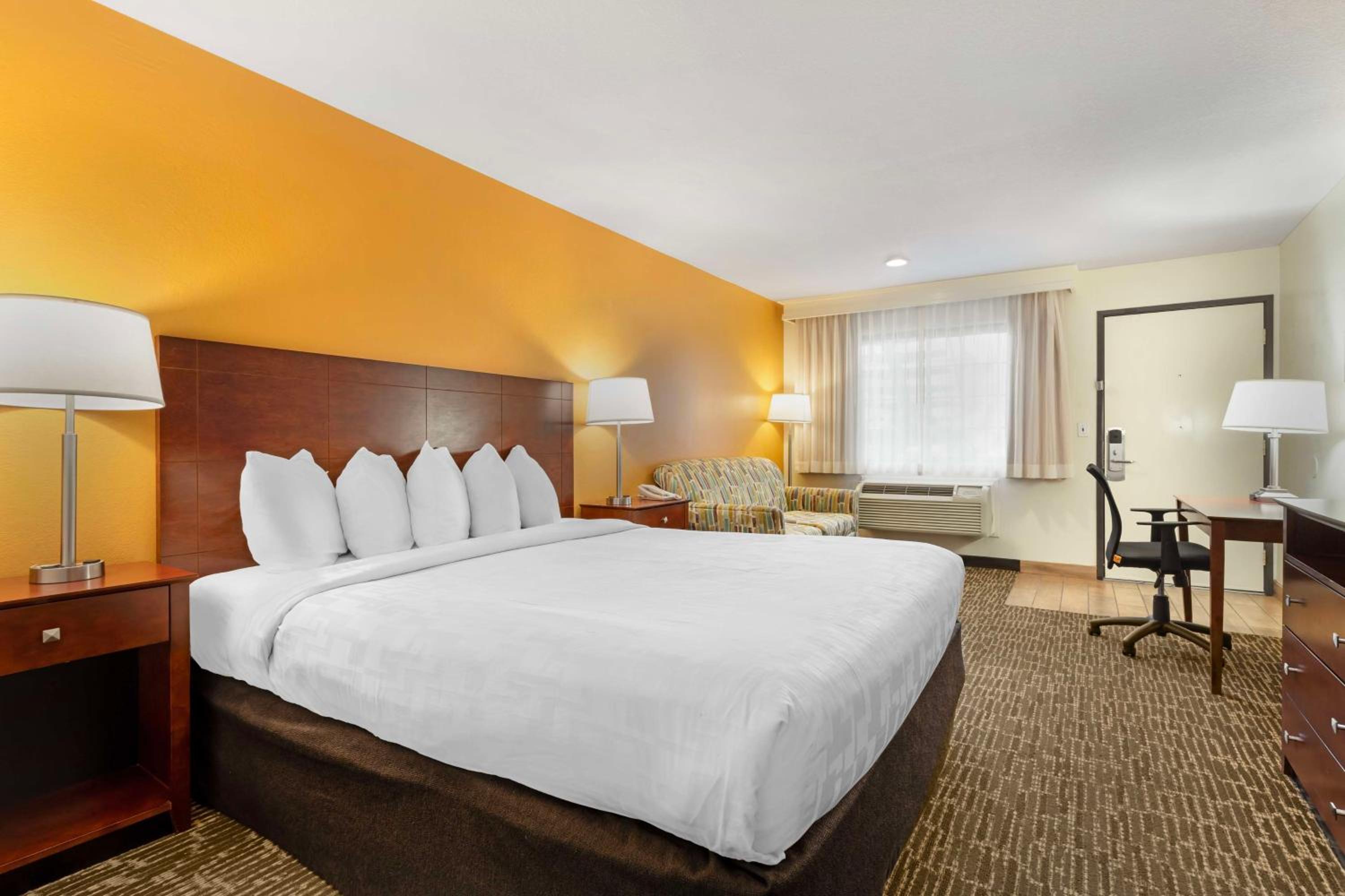 King Room