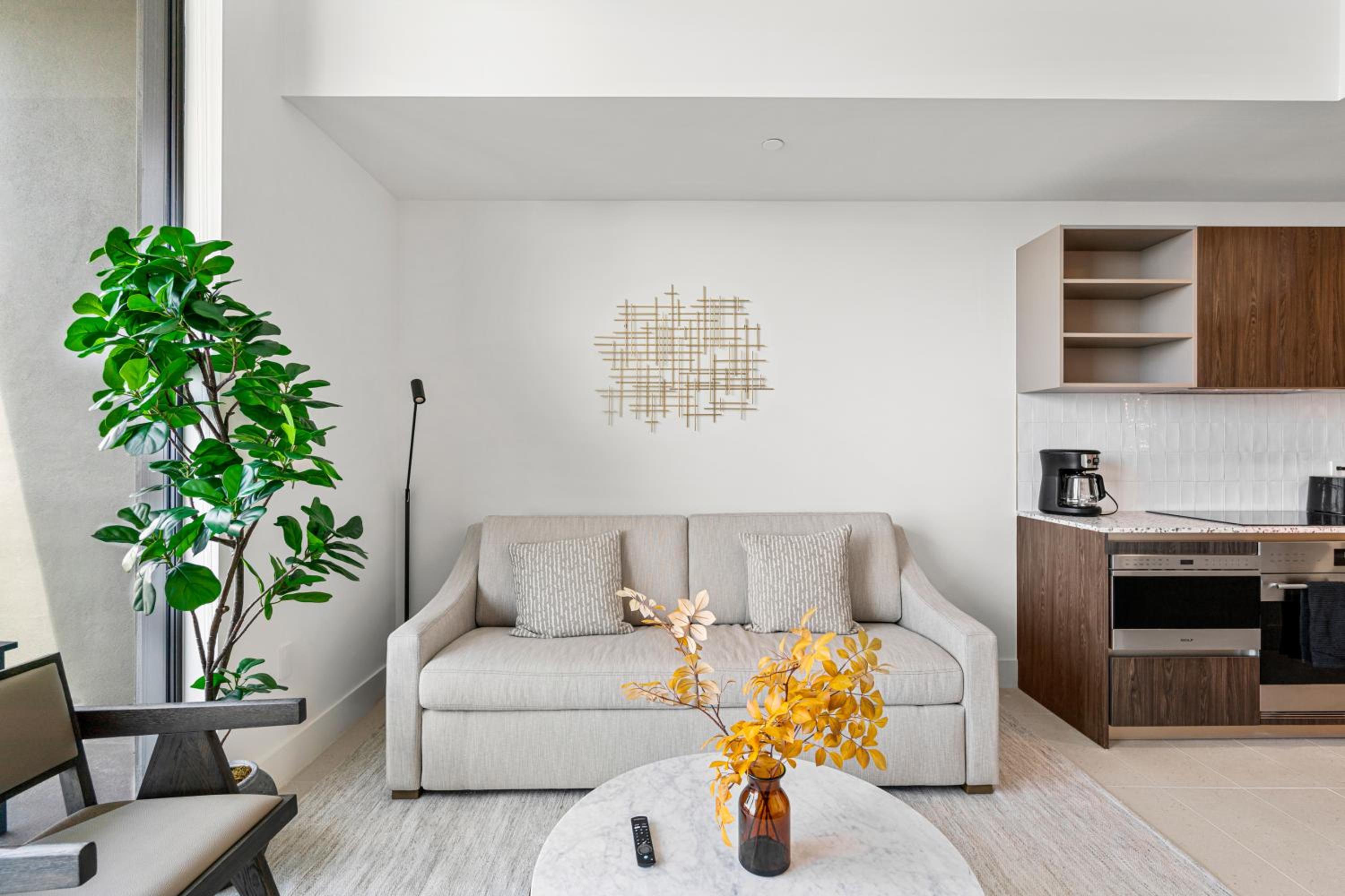 One-Bedroom Apartment photo 2