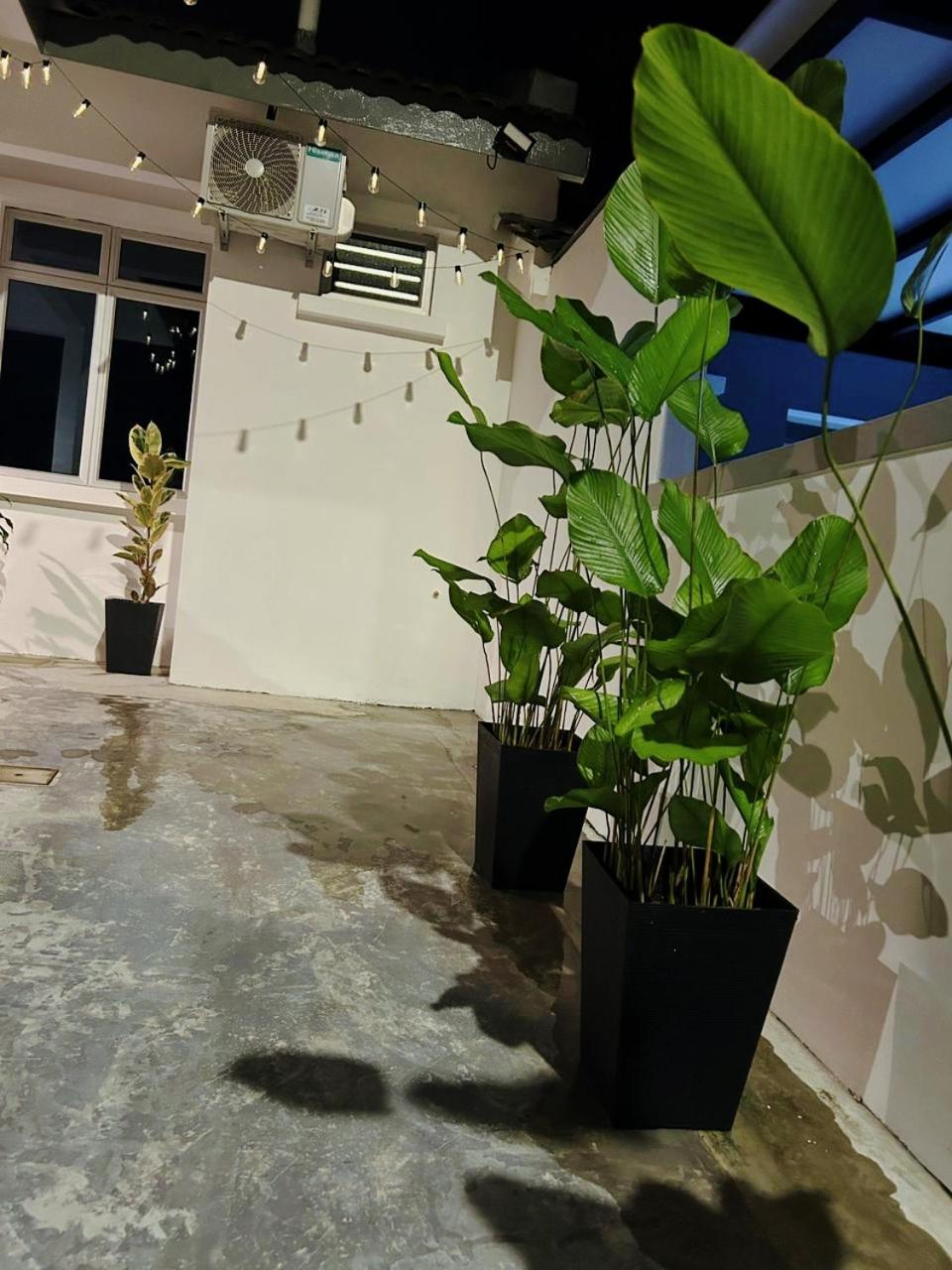 Three-Bedroom House photo 2