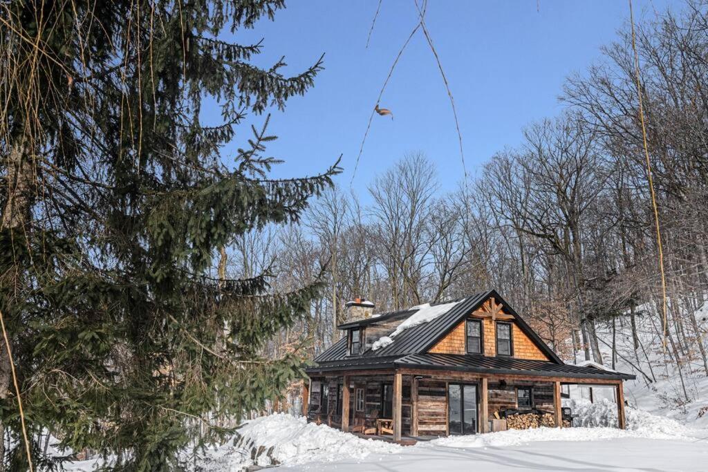Three-Bedroom Chalet photo 2