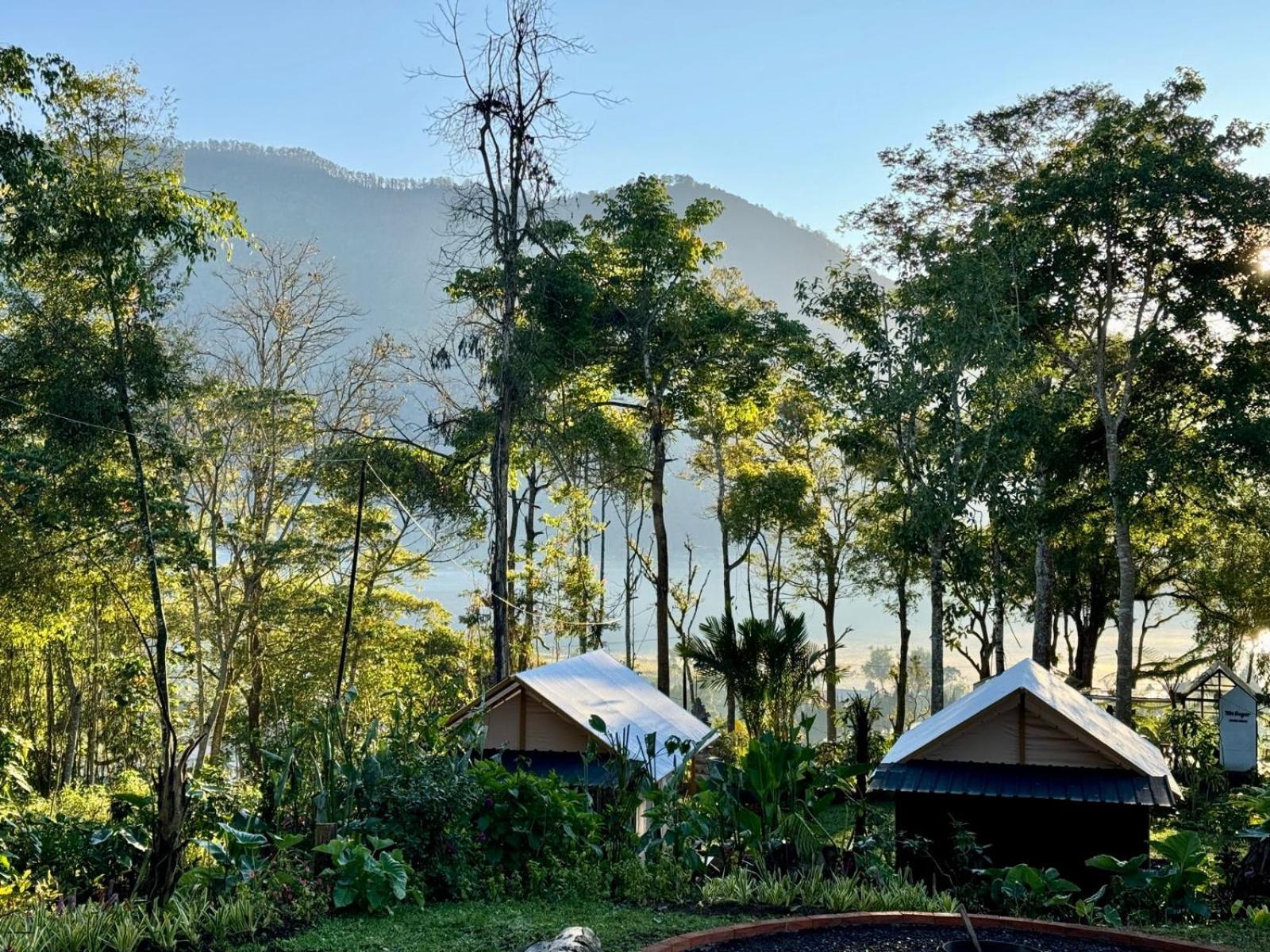 Jungle Tent - Photo 3