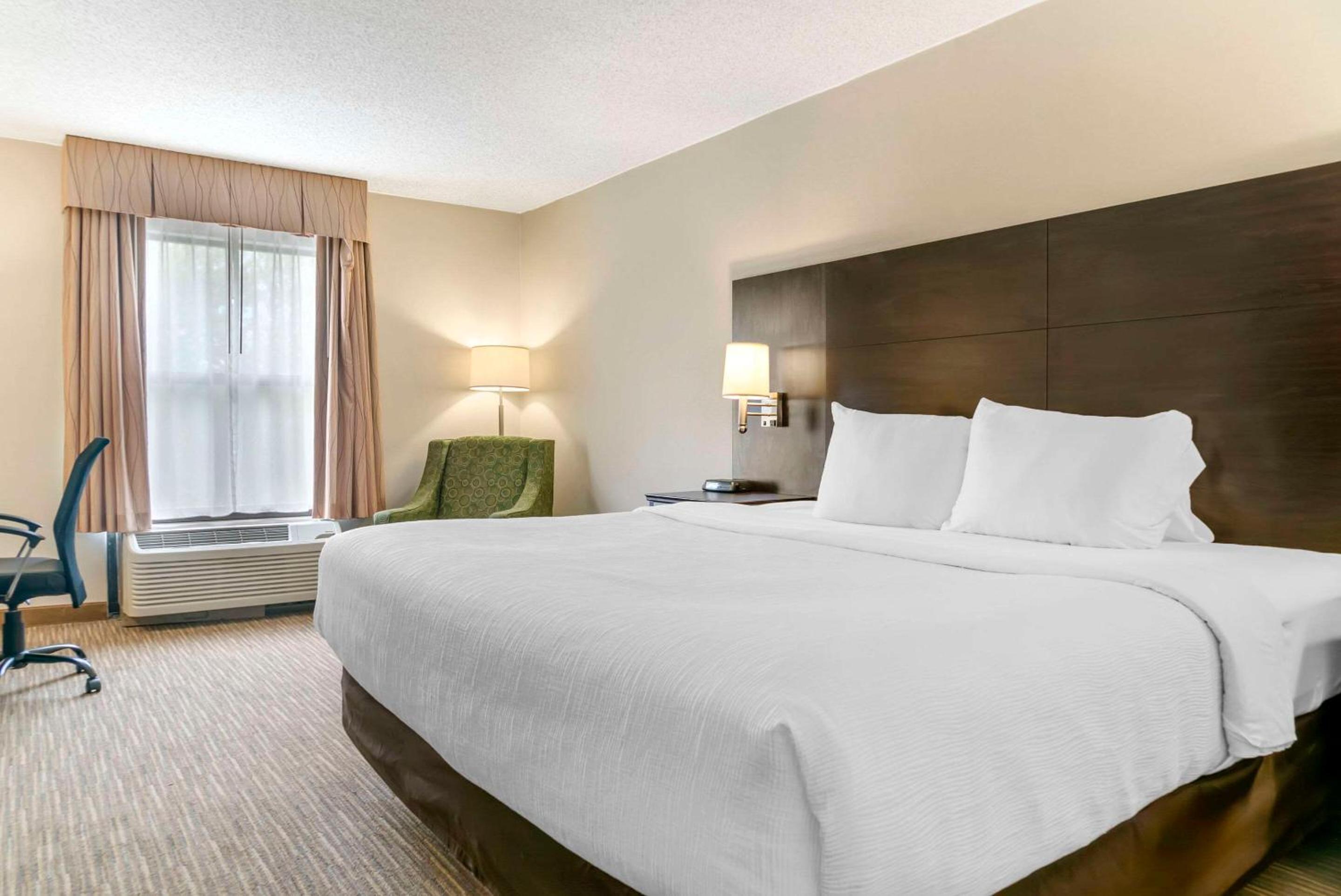 King Room - Non-Smoking - Photo 1