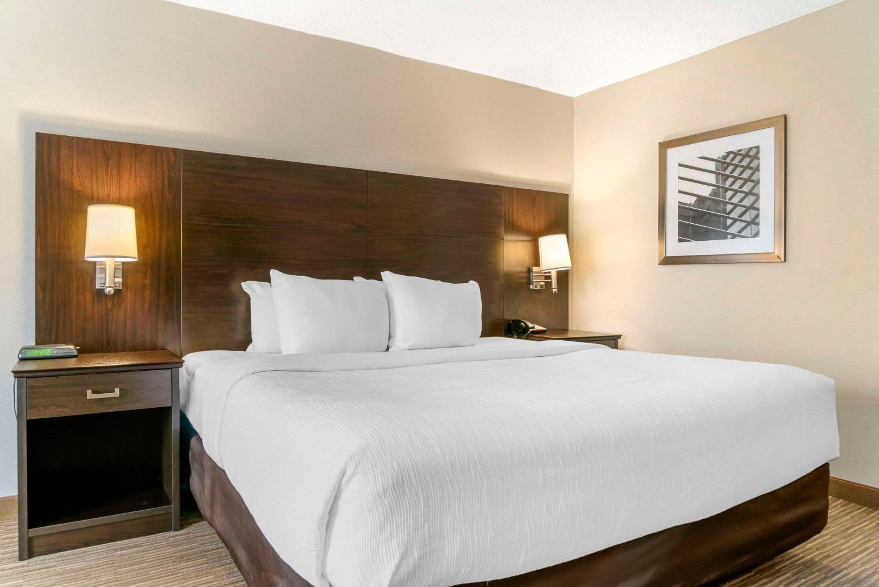 King Room - Non-Smoking - Photo 2